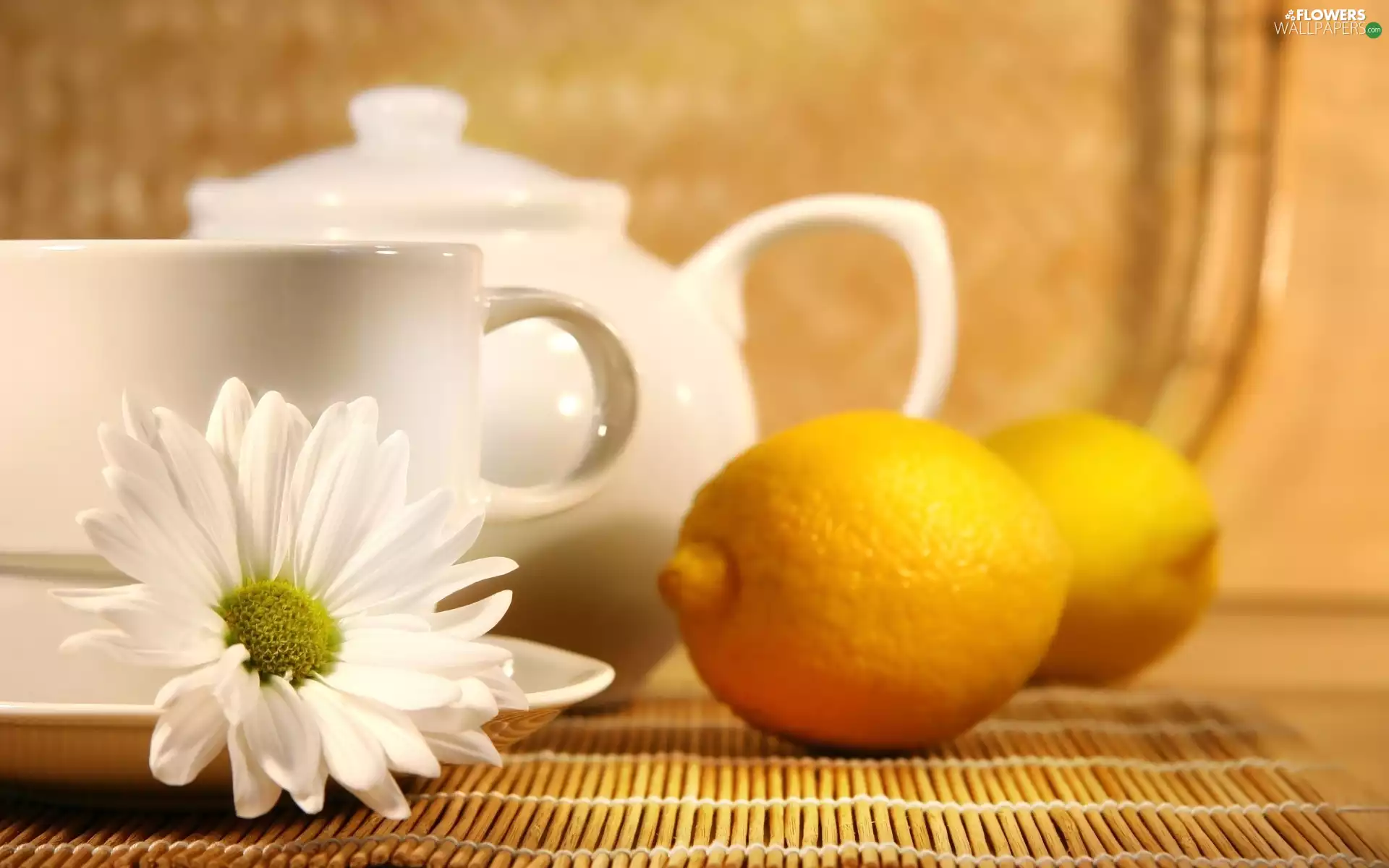 kettle, Margaretka, lemons, cup
