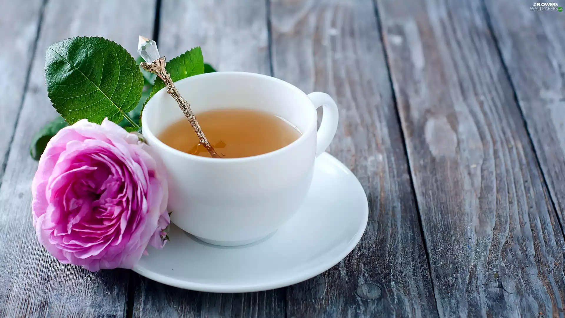 teaspoon, White, leaves, cup, tea, rose, Wood