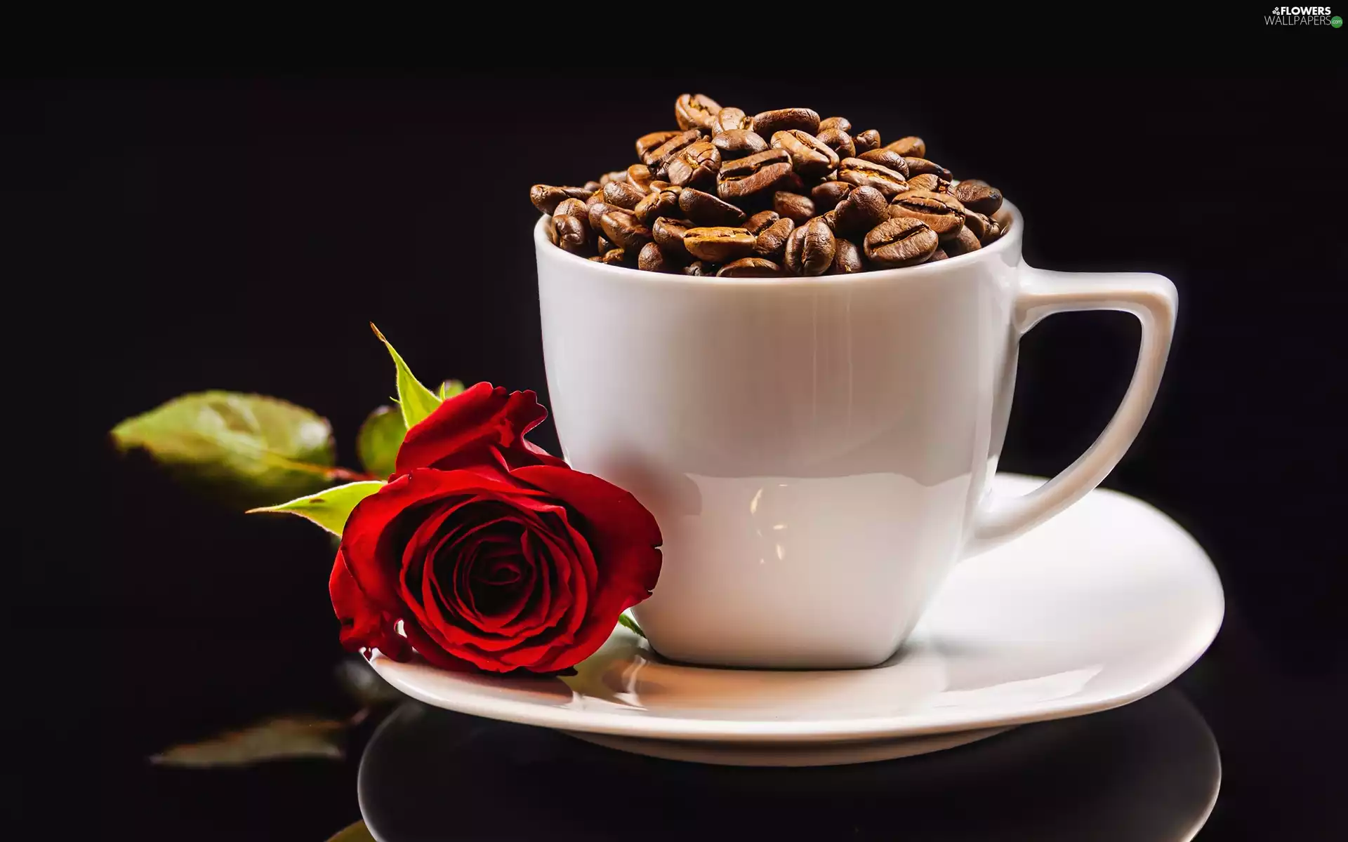 rose, grains, coffee, cup