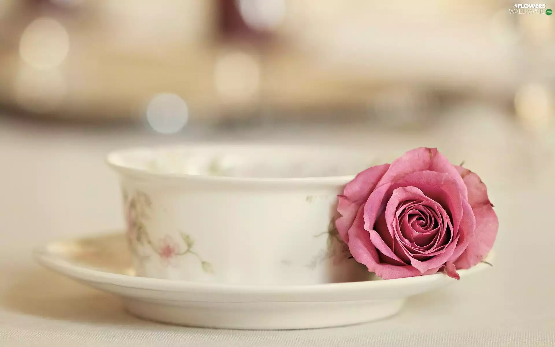 cup, Pink, Rose