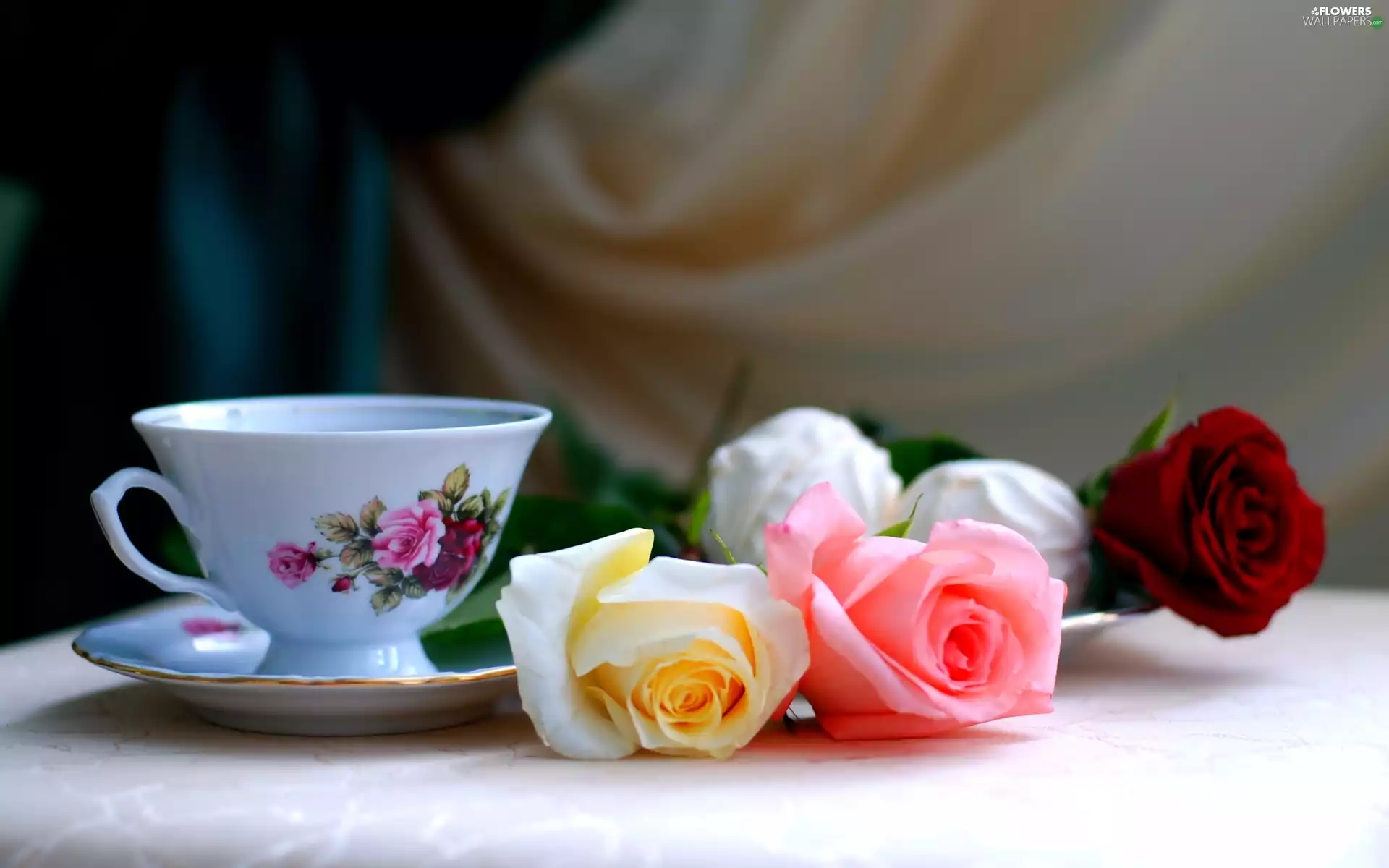 cup, color, roses