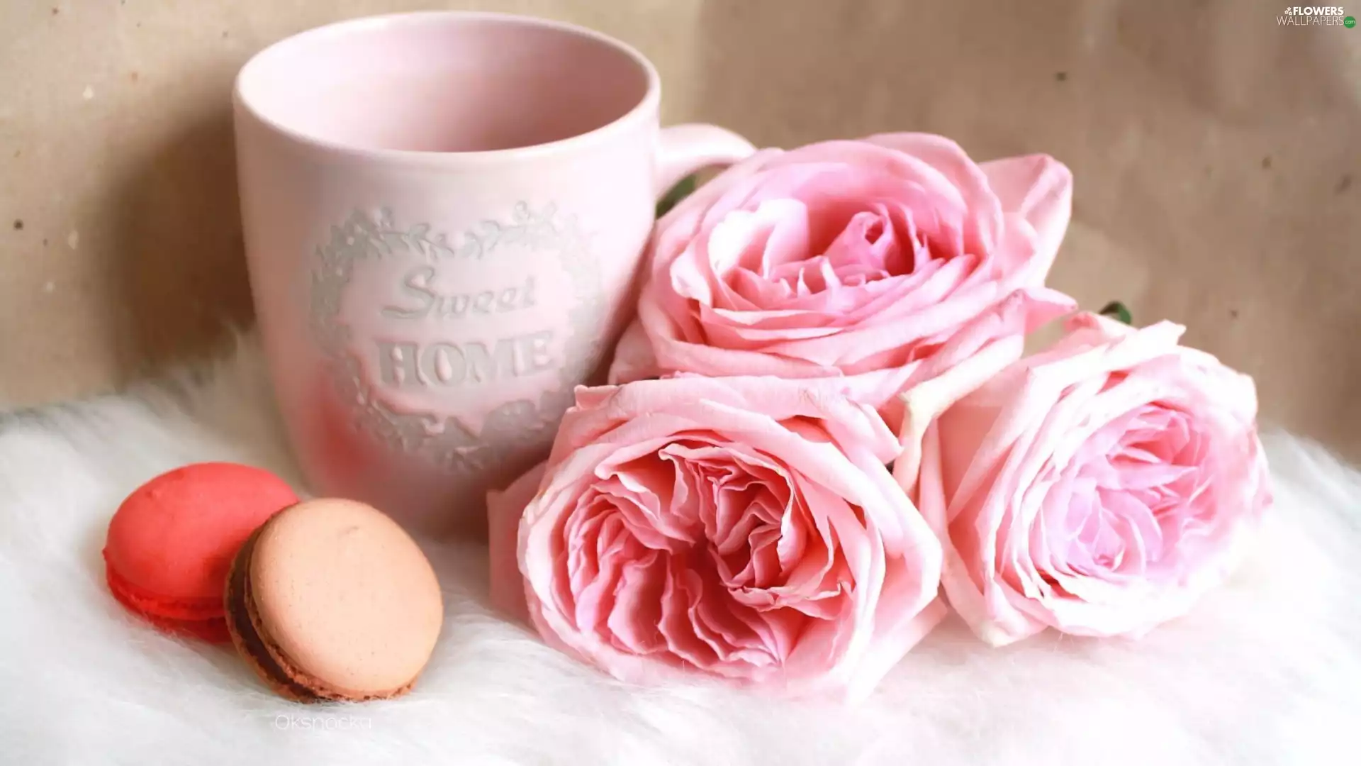 Macaroons, Cup, roses, Cookies, Flowers