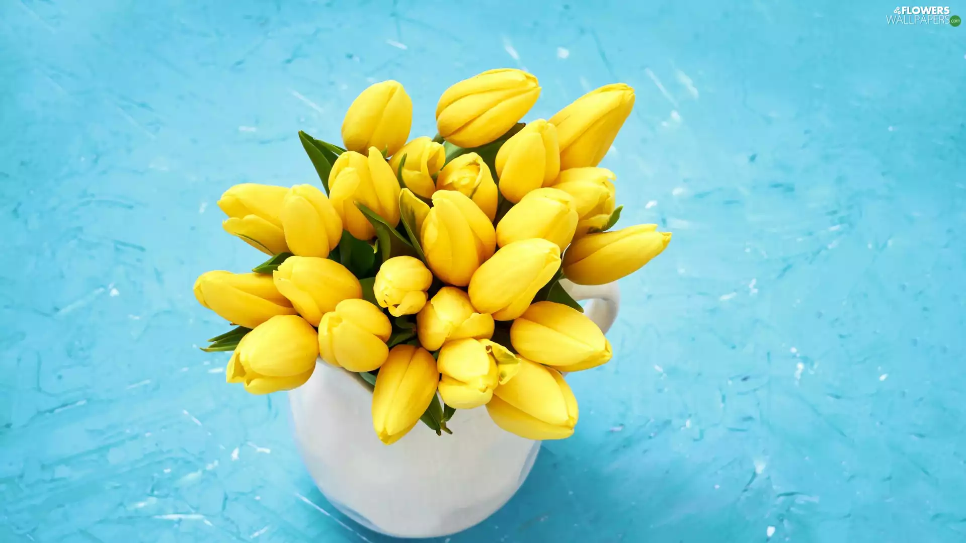 Tulips, Cup, Yellow, Flowers, bouquet