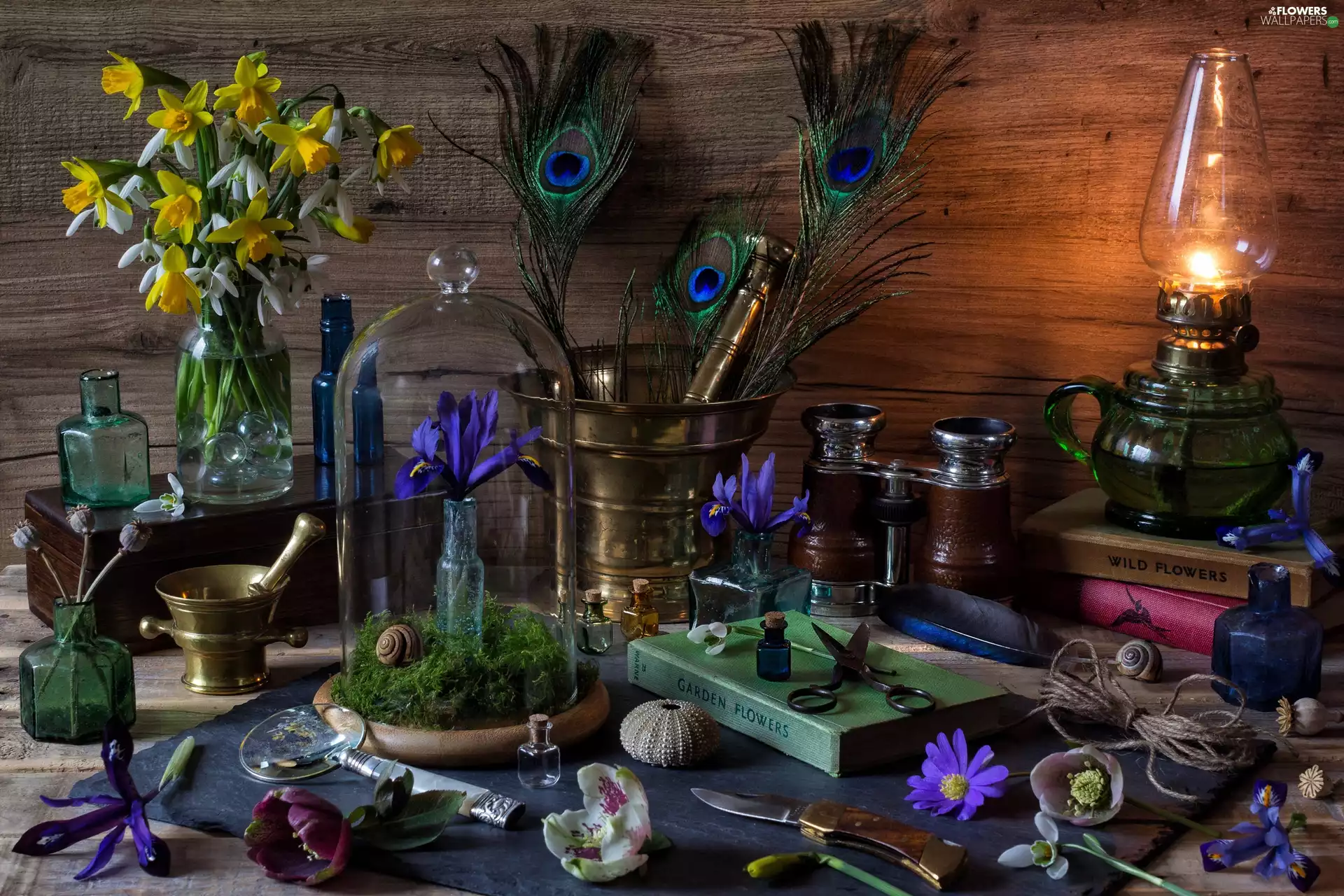 Daffodils, bowl, peacocks feather, Lamp, Books, bouquet, composition, Mortars