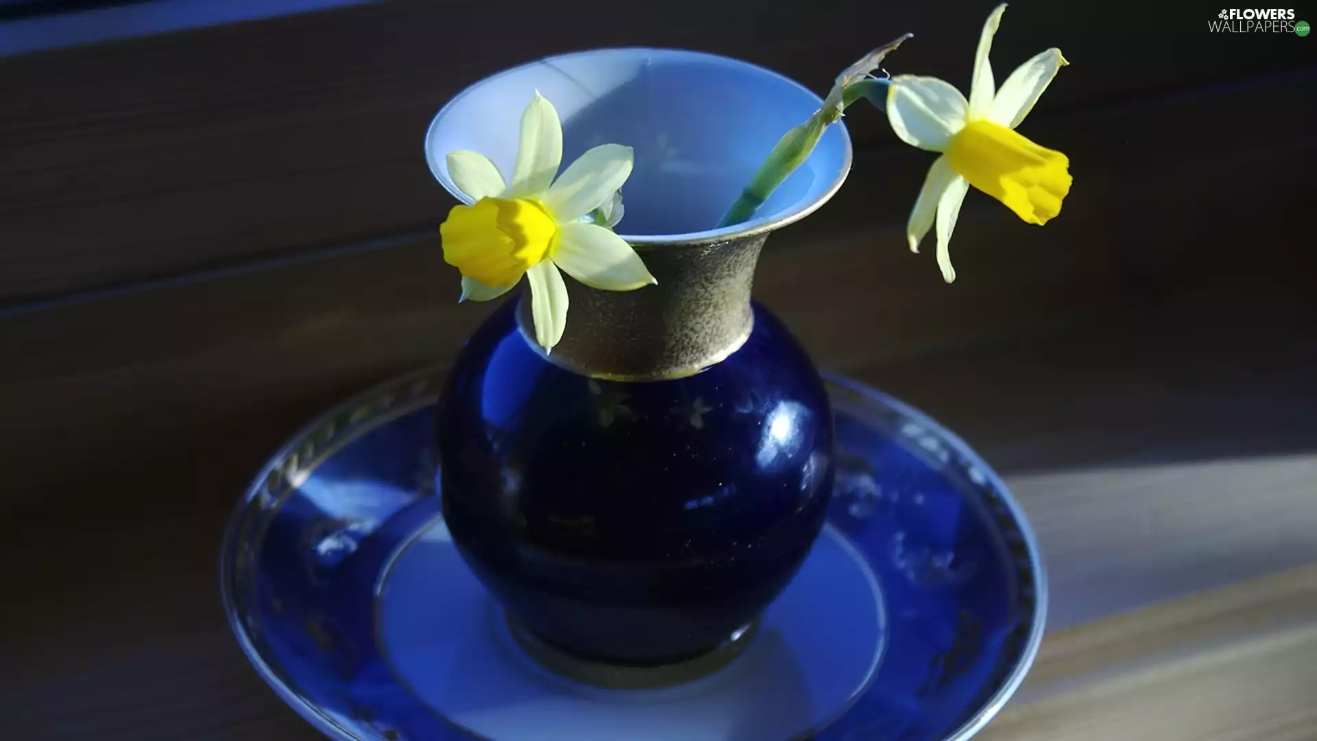 Daffodils, blue, jug