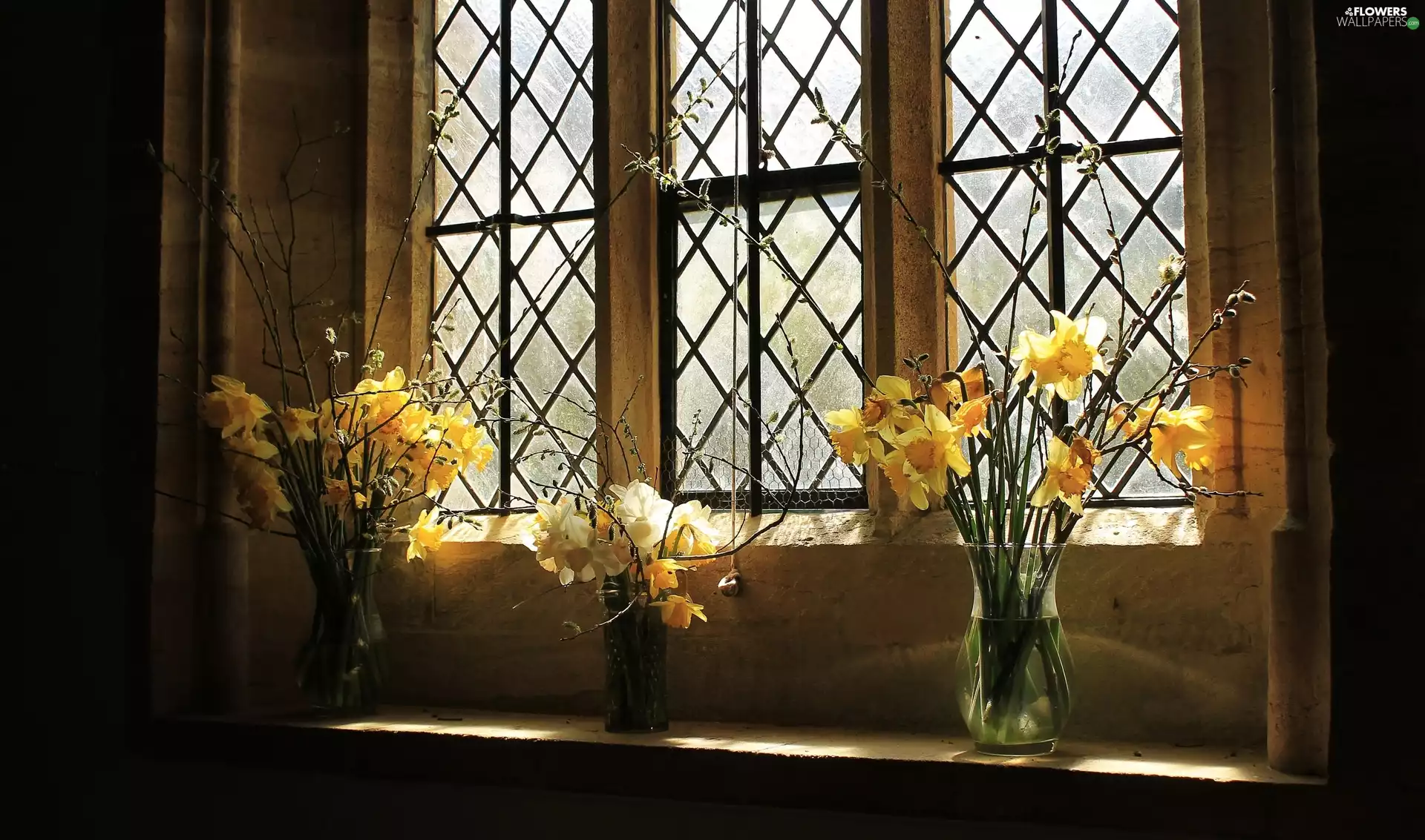 flowers, Daffodils, Window, Bouquets, interior