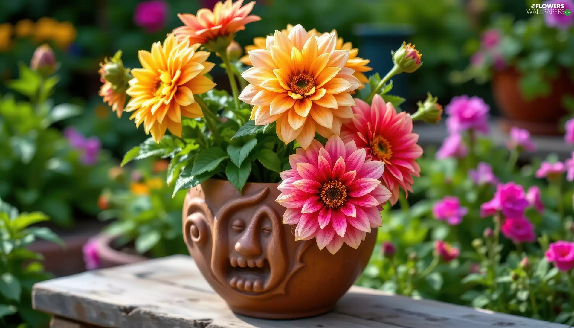 dahlias, Vase