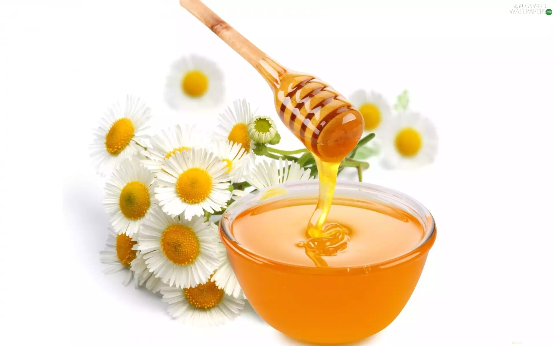 daisies, bowl, honey