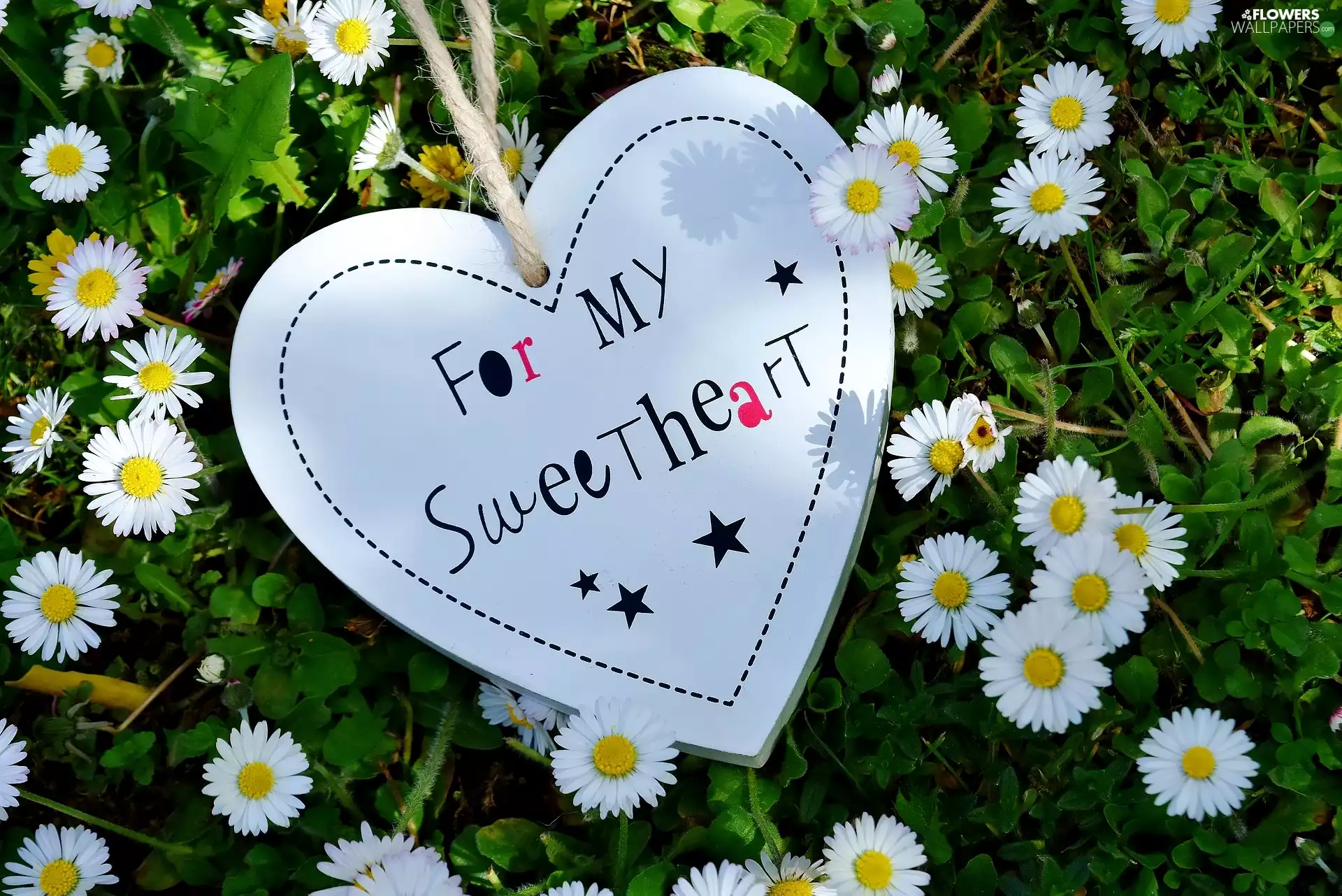 love, daisies, Pendant, text, Heart