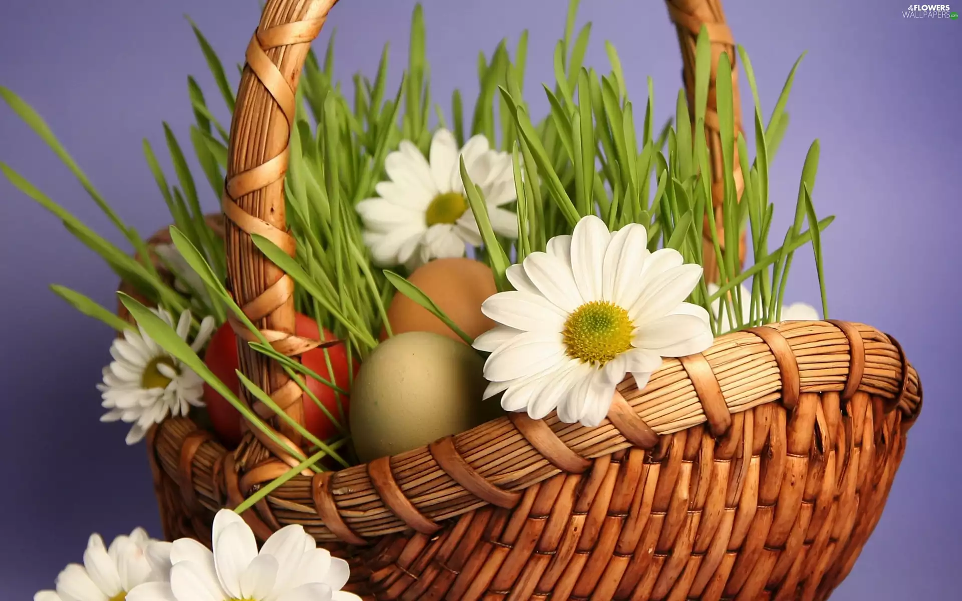 Easter, eggs, daisy, basket