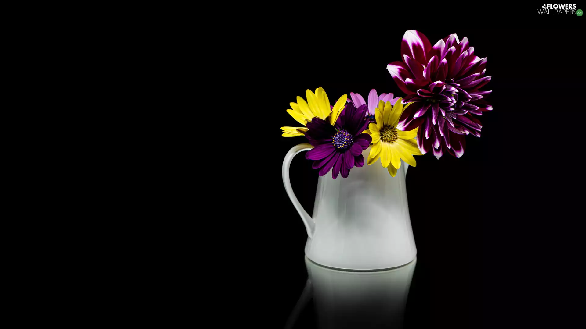 jug, Dalia, African Daisies, bouquet