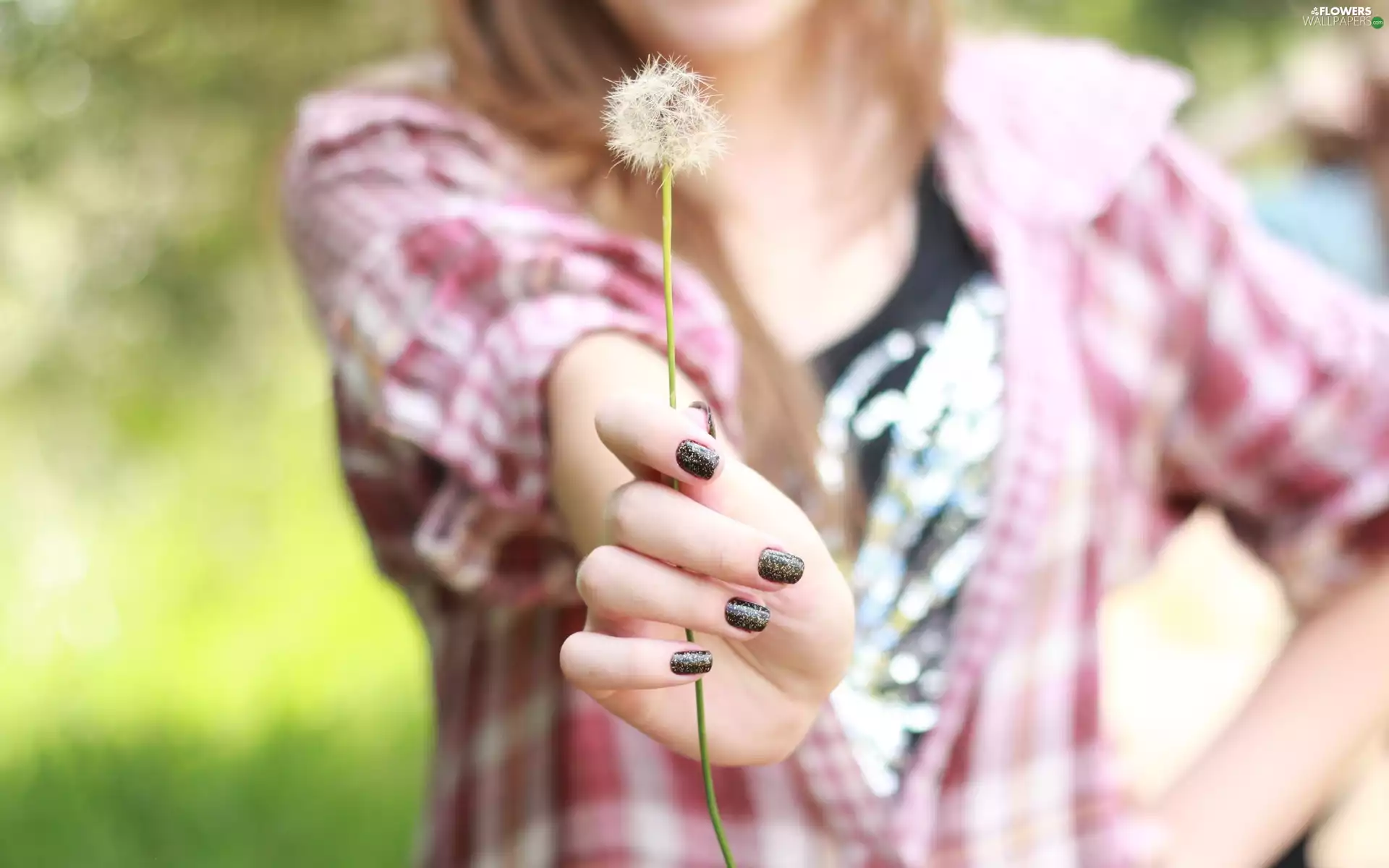 puffball, dandelion, Girls, Nails, hand