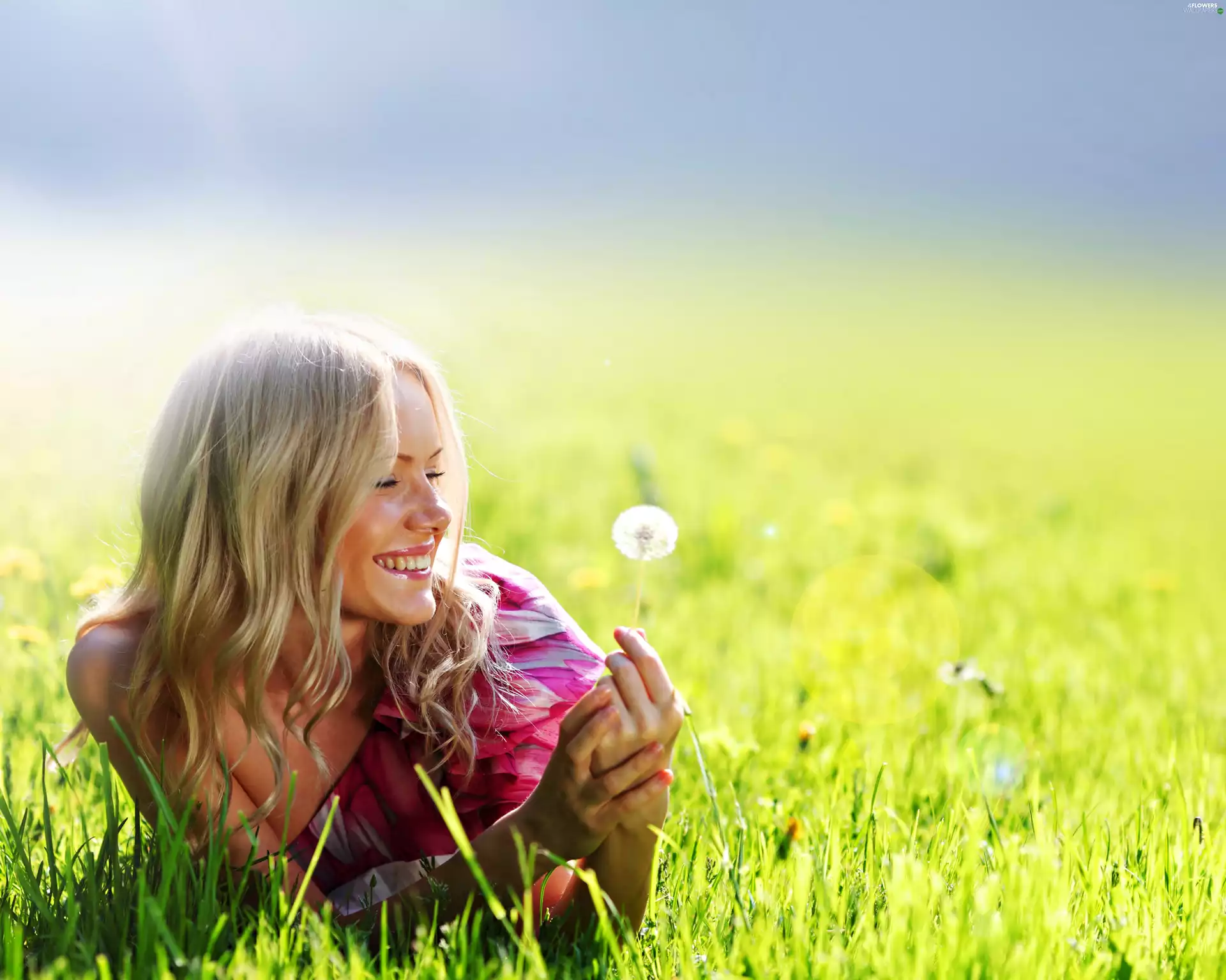 Meadow, dandelions, smiling, Women, Blonde