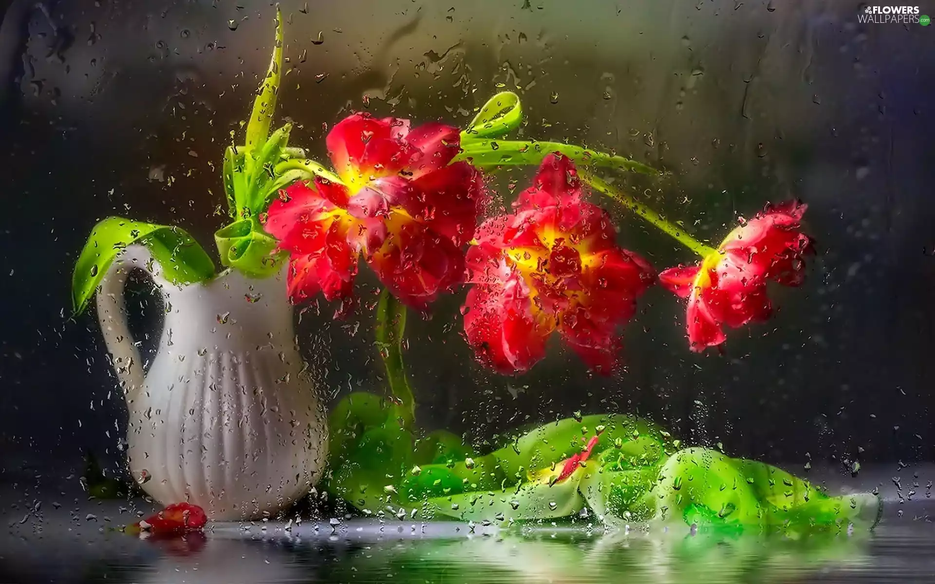 Window, Tulips, Rain, decoration, Night, jug