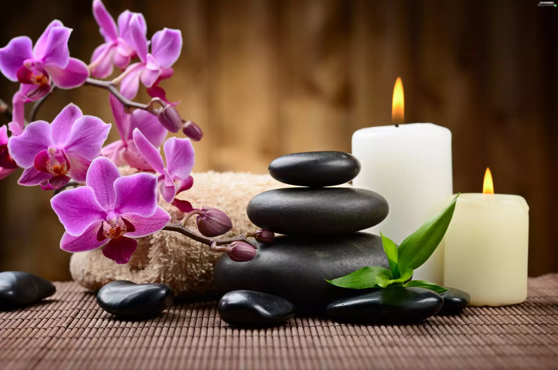 Candles, Stones, Stones, Towel, orchid, Flowers, decoration, decoration