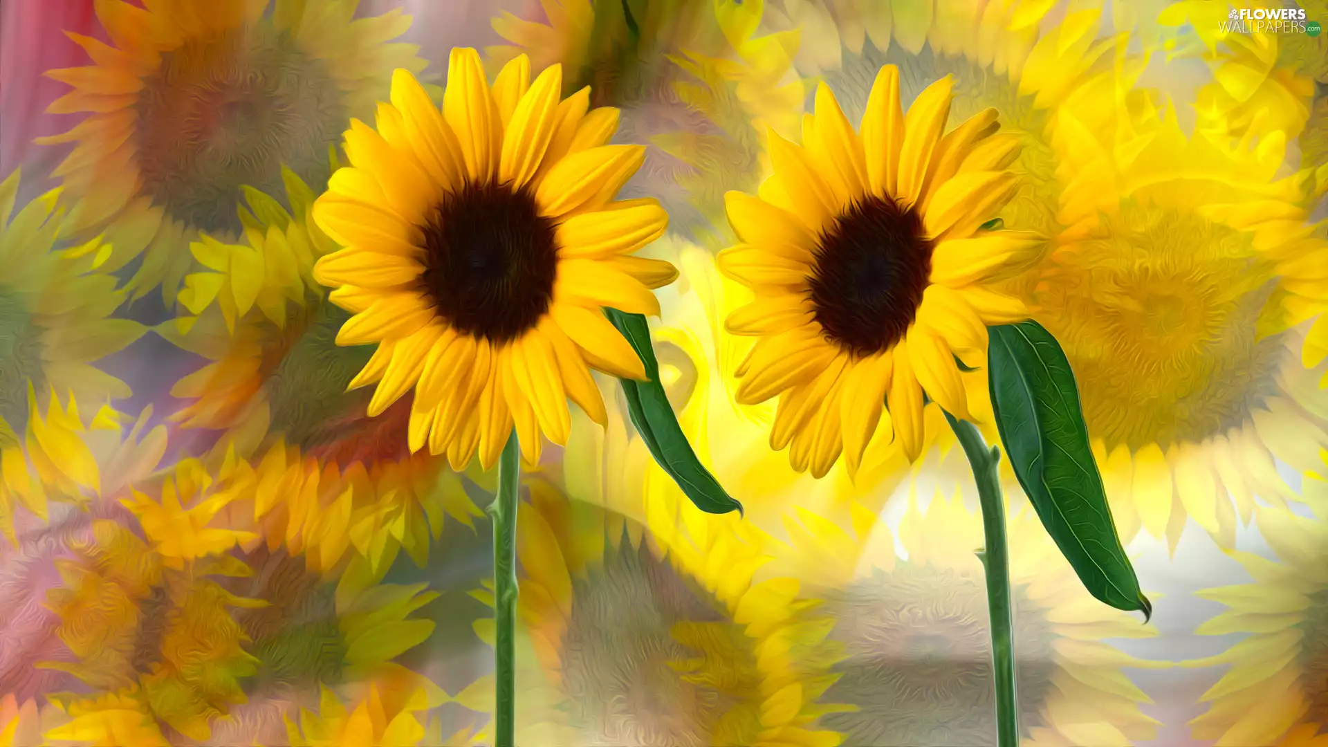 decorative Sunflowers, graphics