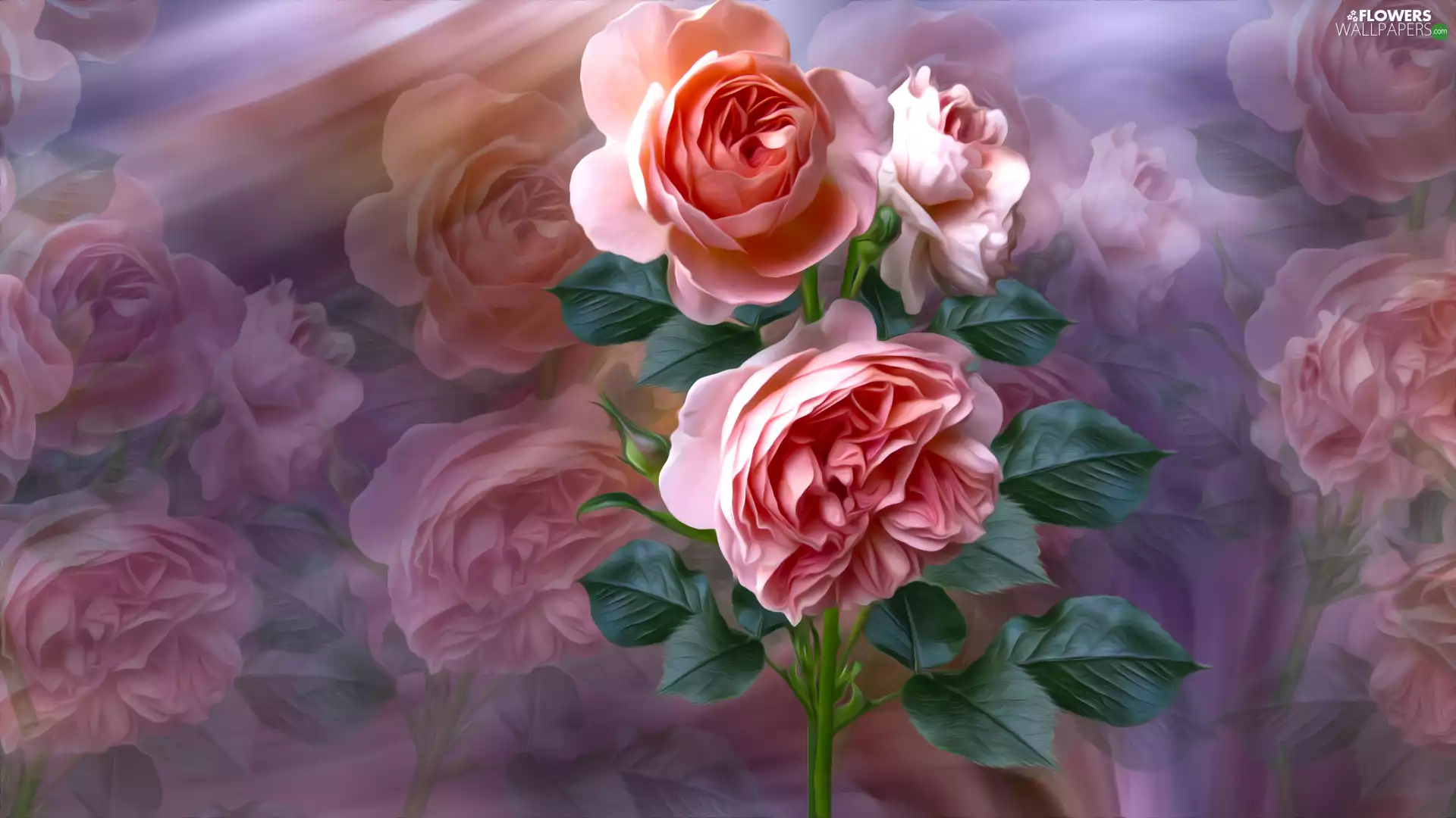 Colorful Background, graphics, developed, roses, Flowers