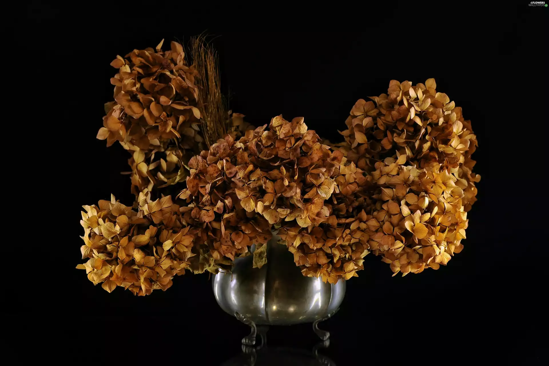 metal, dish, dry, hydrangea, decoration