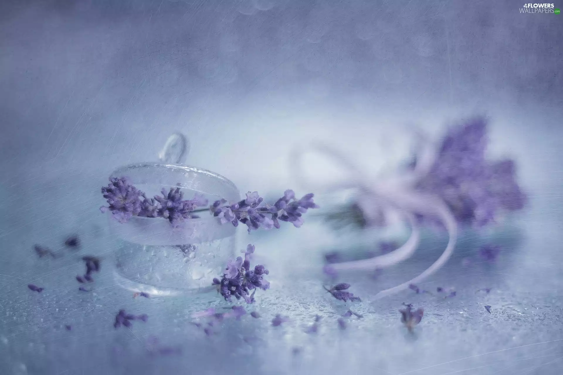 dish, lavender, glass