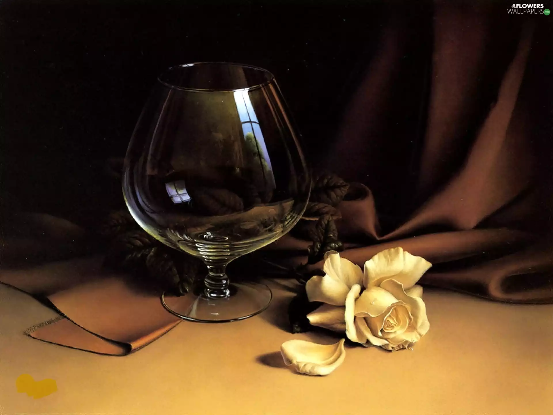 Drapery, rose, glass