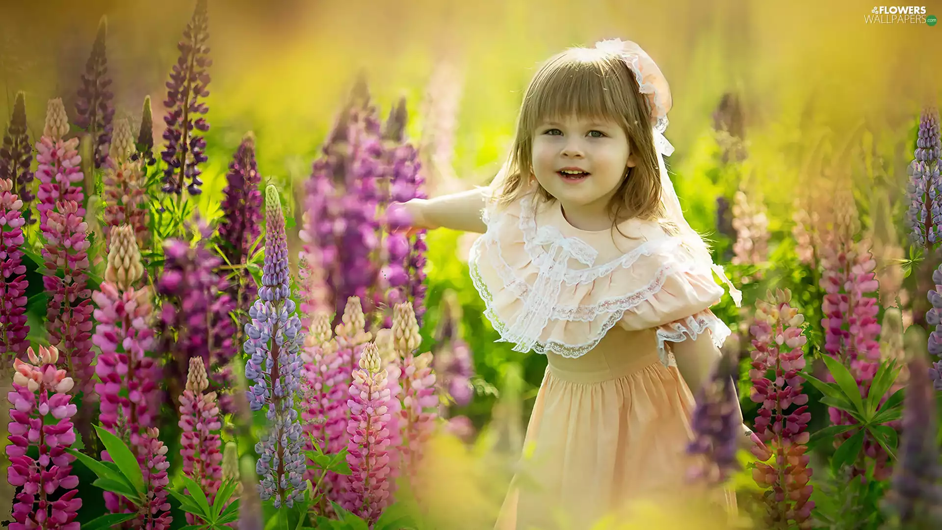 girl, Flowers, lupine, dress