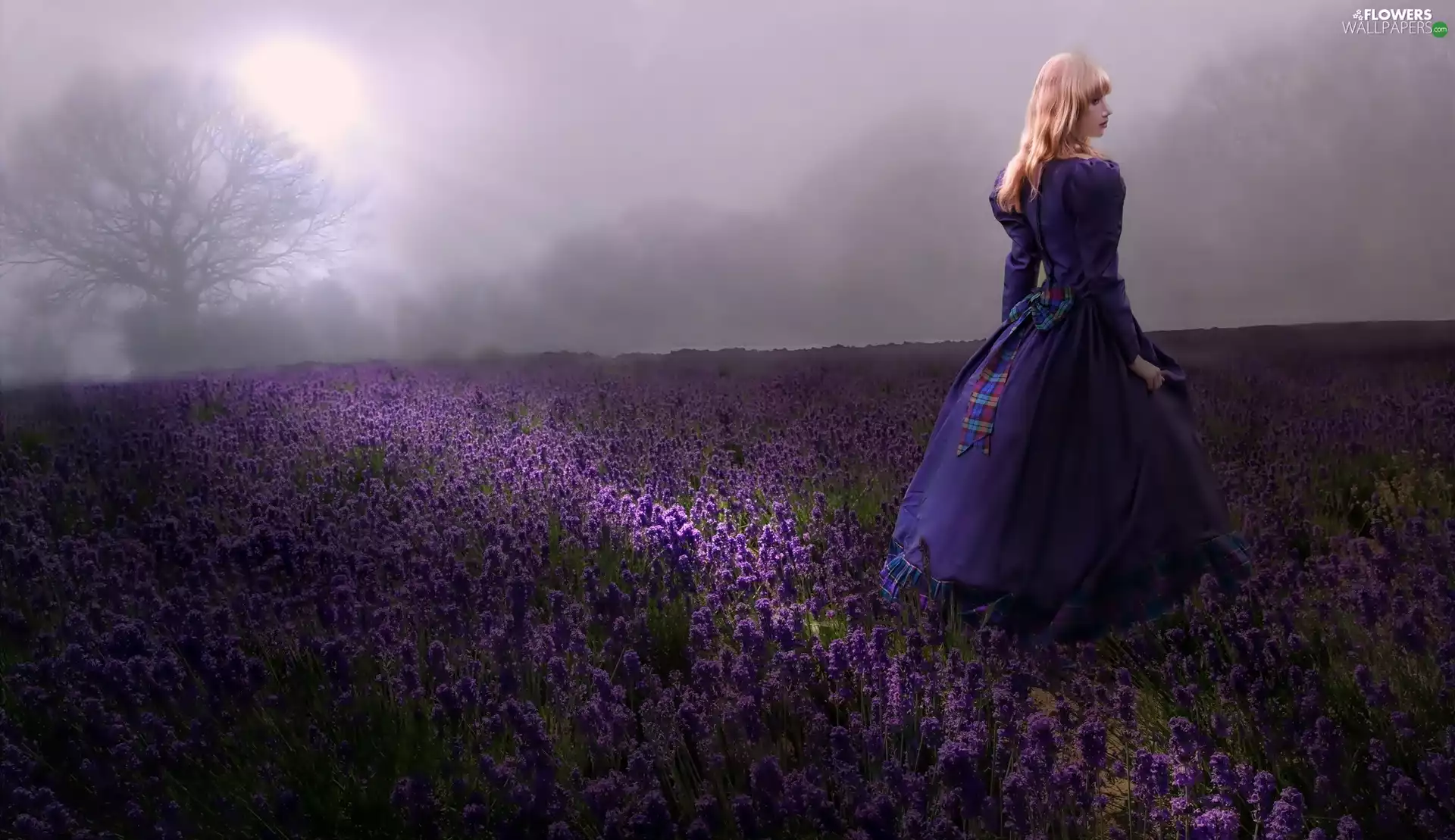 Women, Field, lavender, Dress
