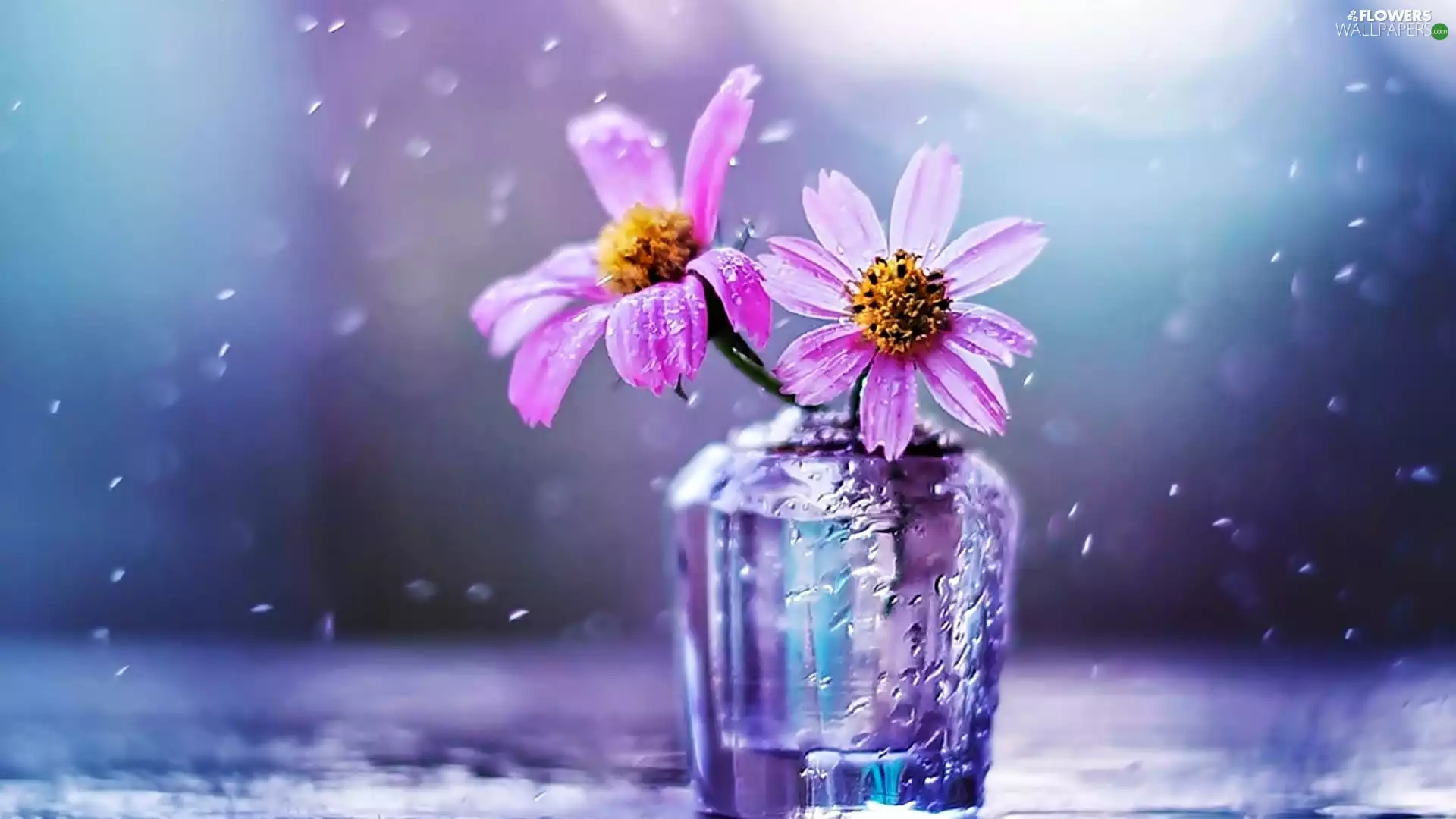 vase, drops, Flowers, bouquet, purple