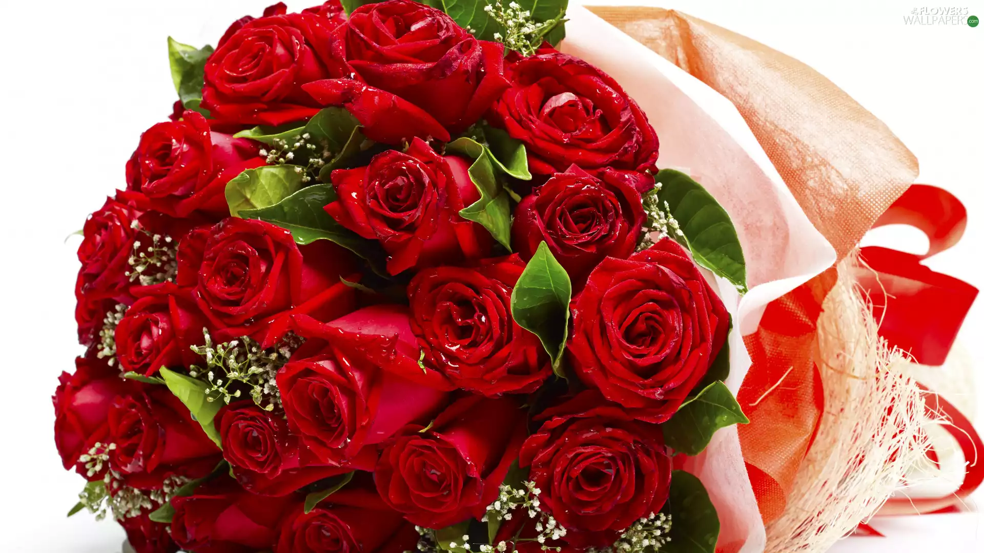 bouquet, Flowers, Buds, drops, Red, roses