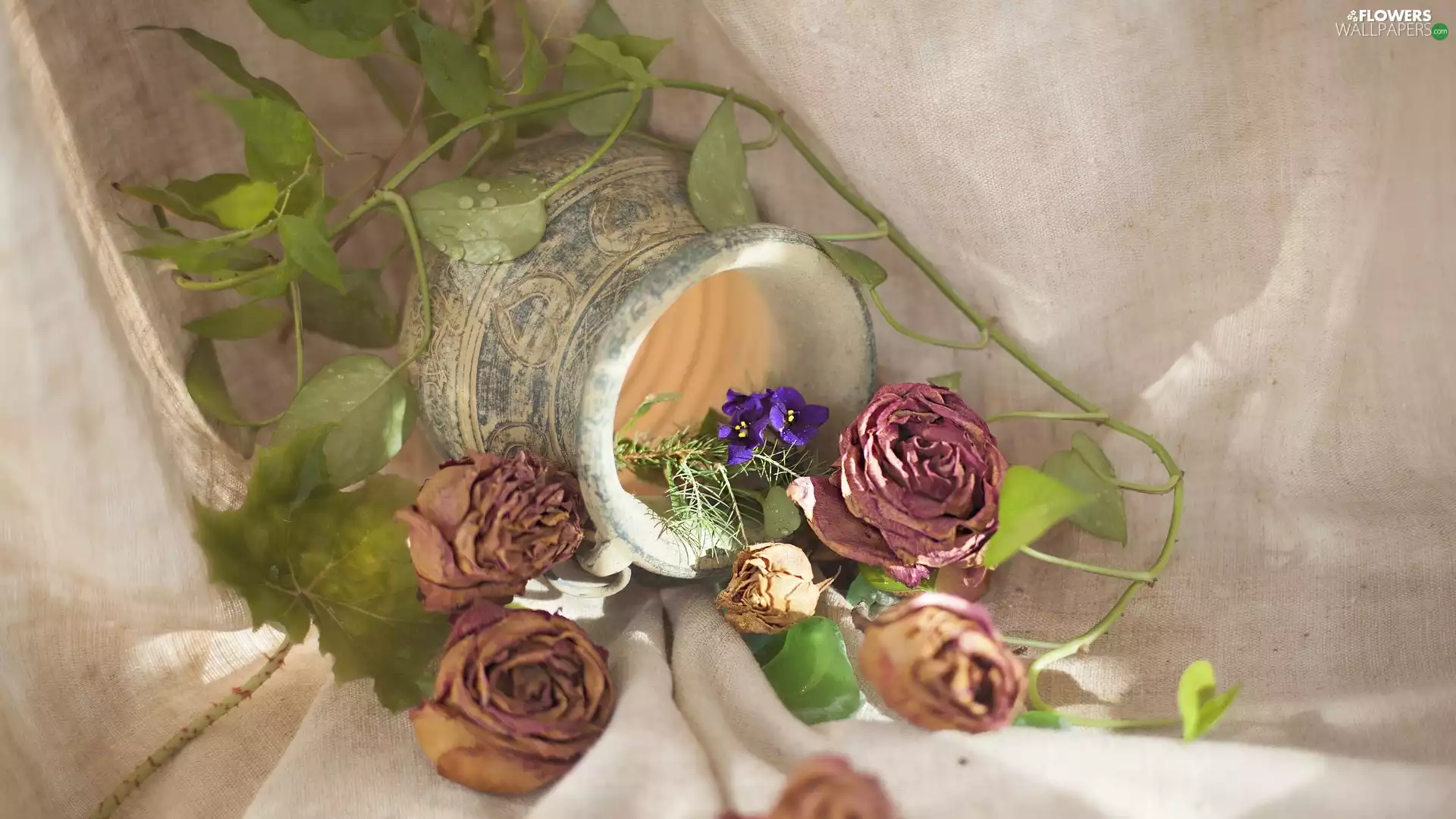 Flowers, pitcher, purple, dry, composition, roses, Saintpaulia