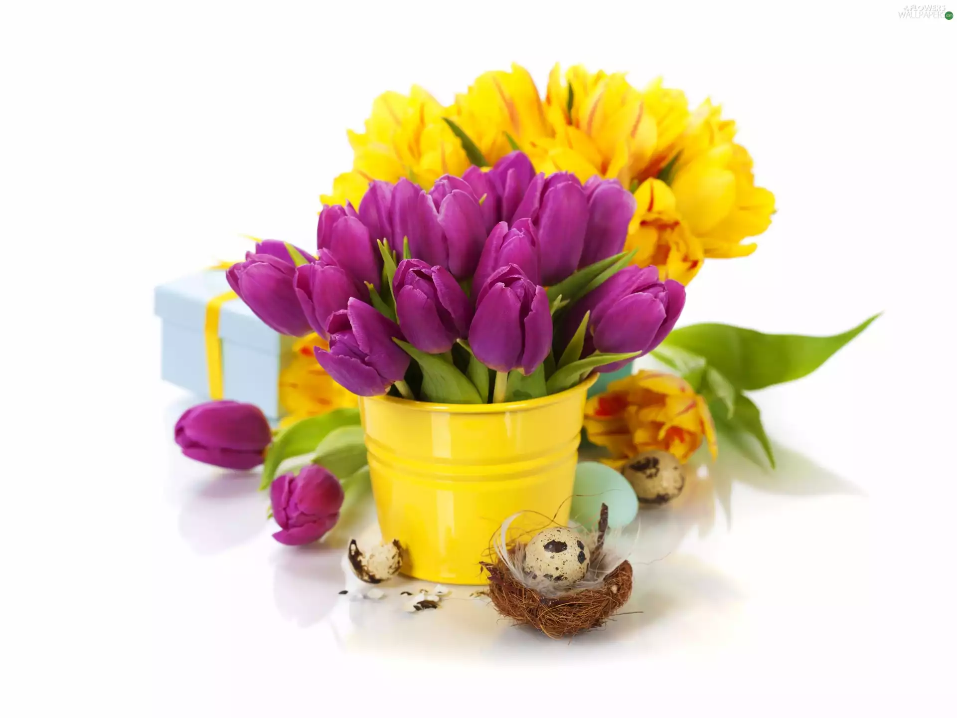 nest, Tulips, Present, Easter, eggs, Bucket