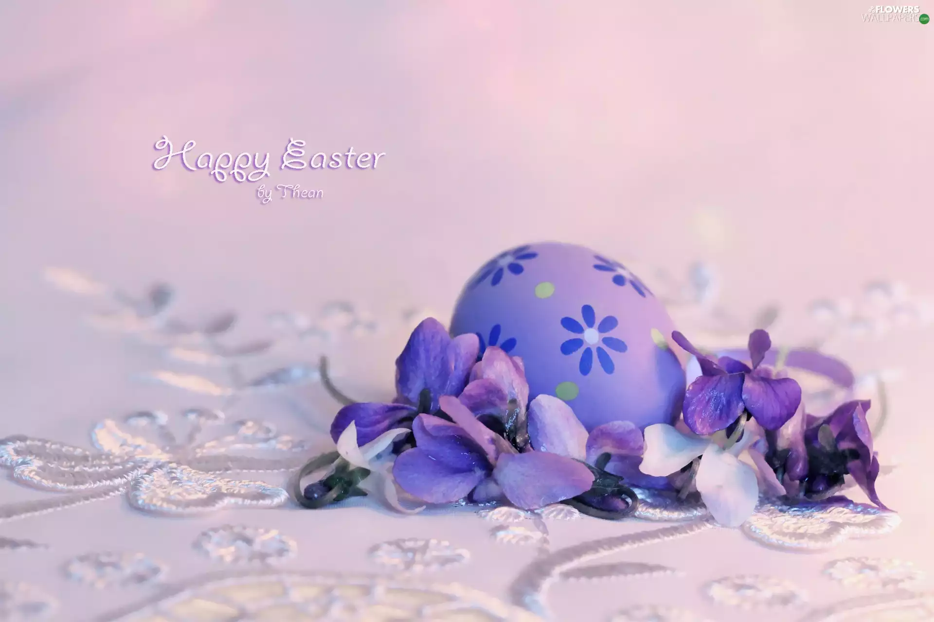 egg, christmas, Easter, Violets