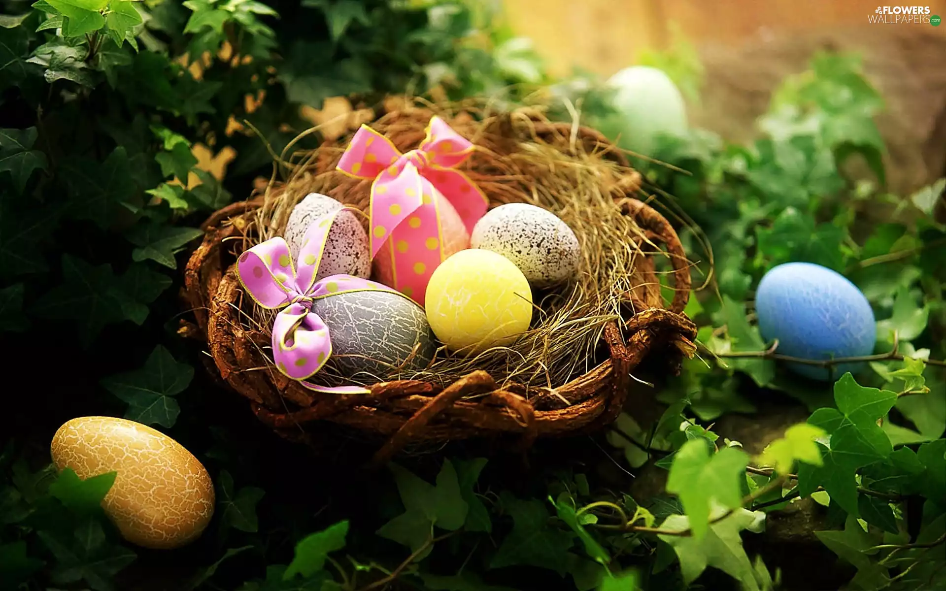 Colorful Easter eggs, ivy, basket