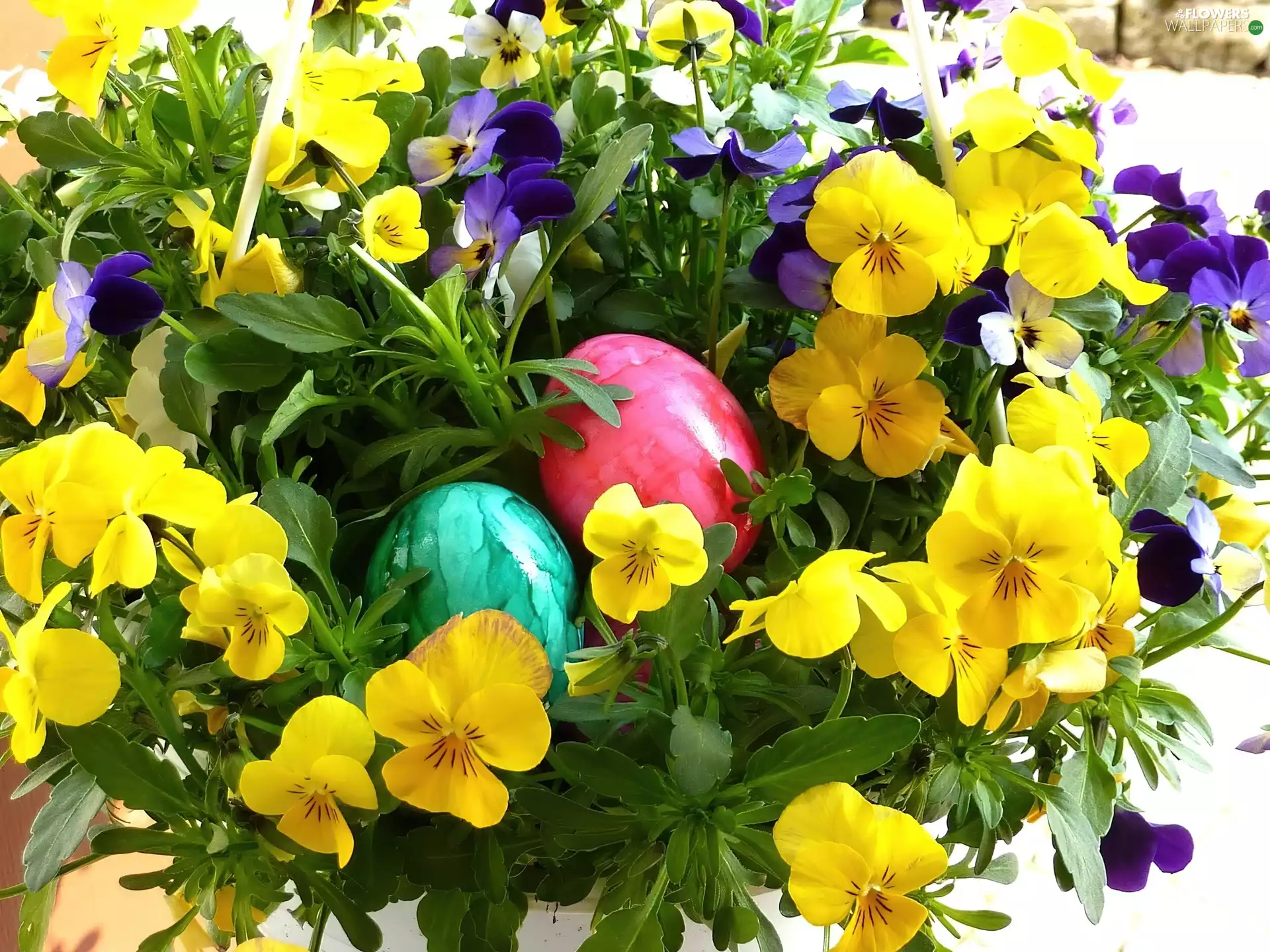 Easter, pansies, eggs