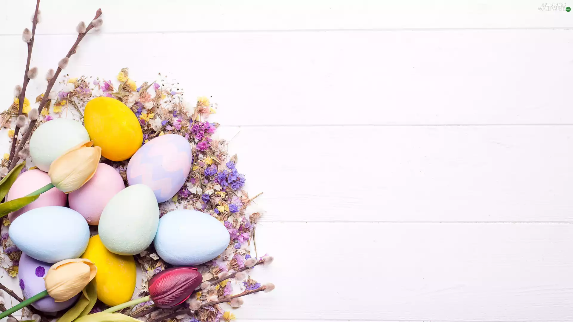 database, Easter, eggs, Flowers, Tulips