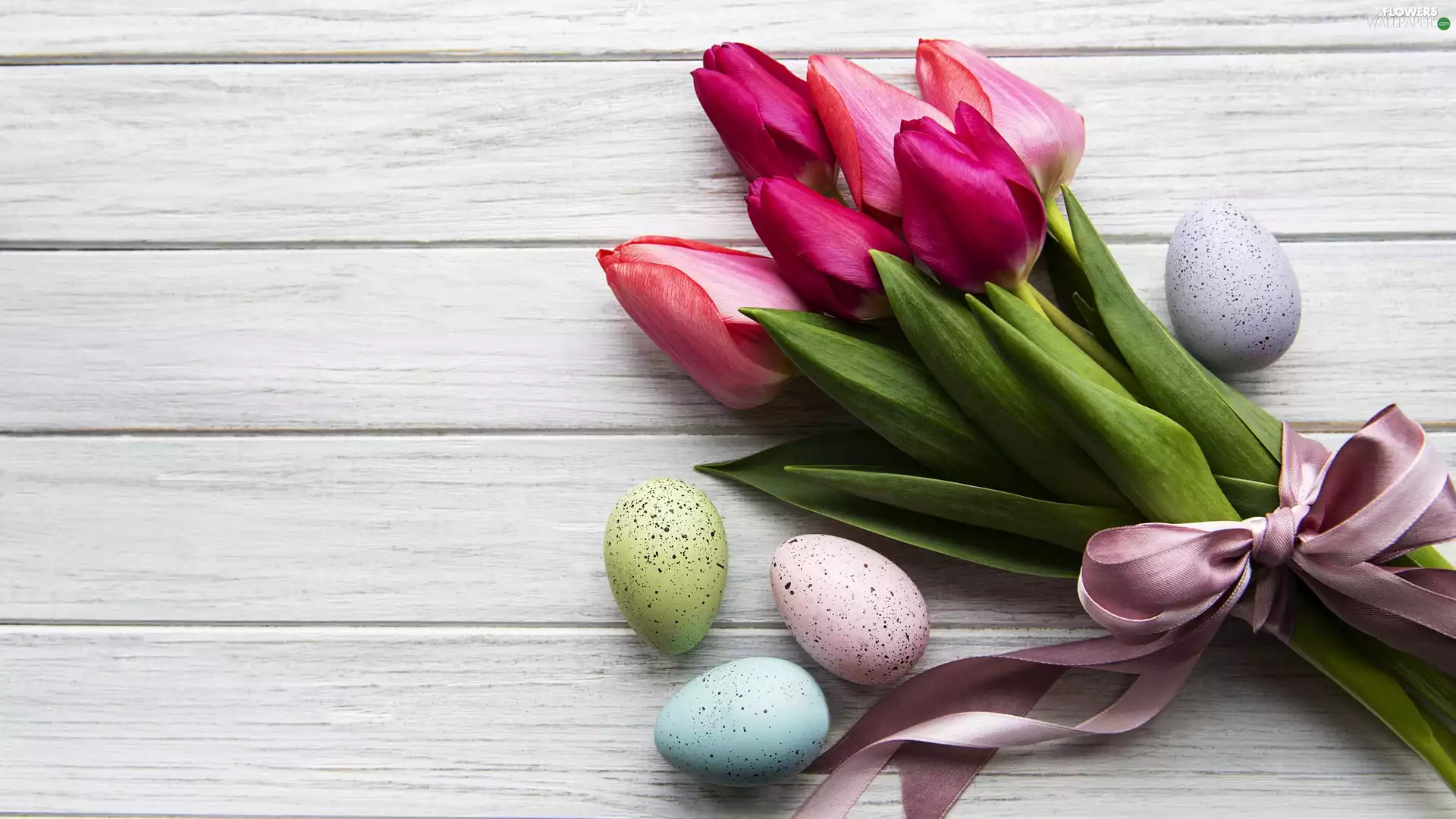 ribbon, Easter, Tulips, Loop, eggs