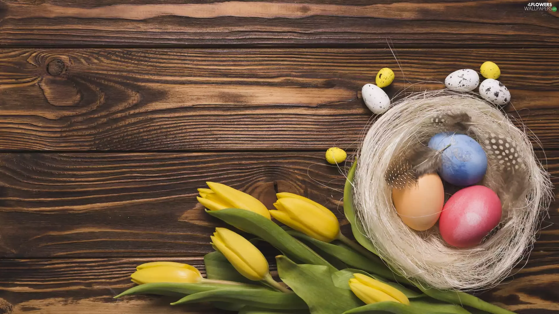 boarding, Easter, Yellow, Tulips, eggs