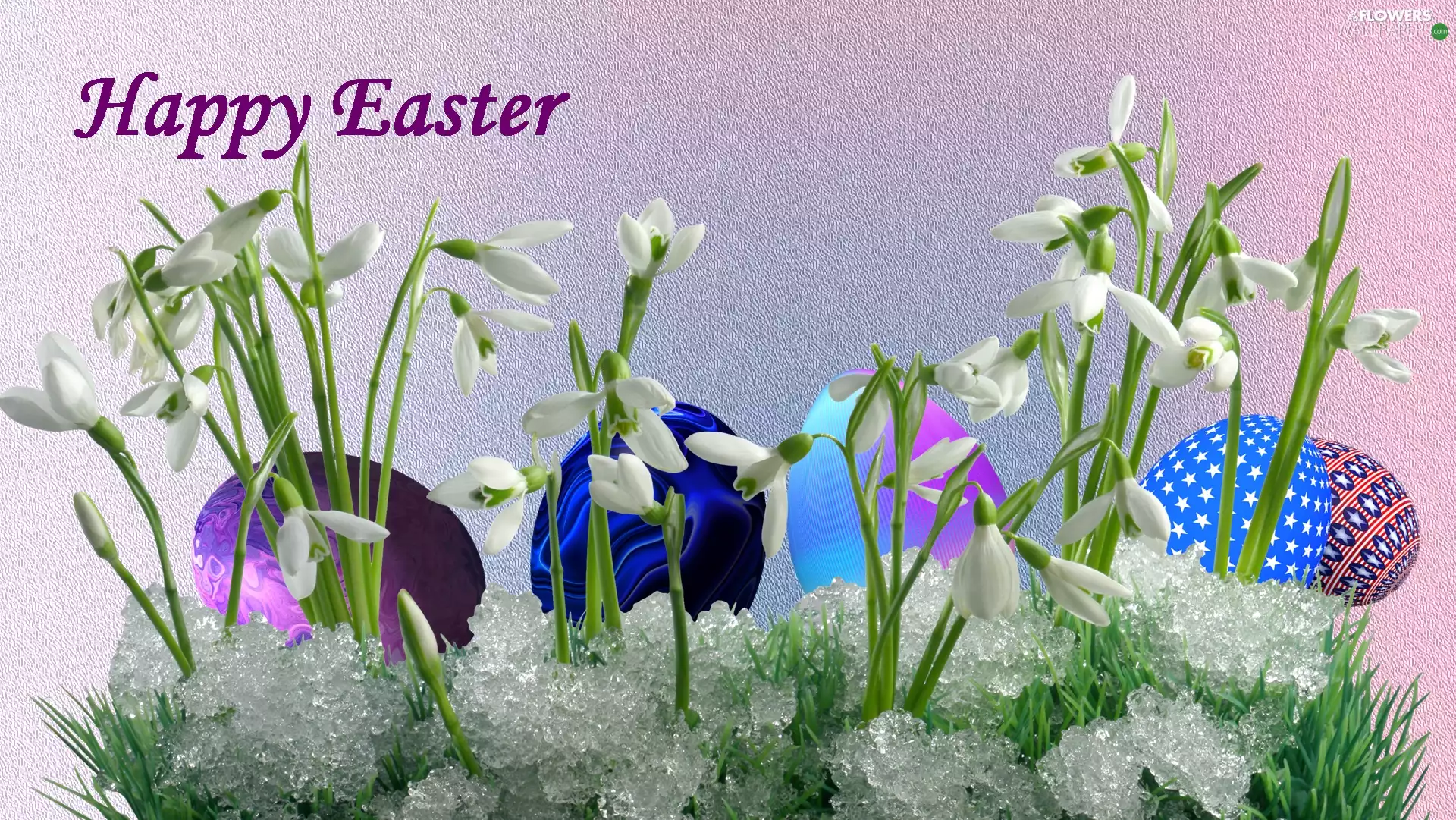 2D Graphics, snowdrops, eggs