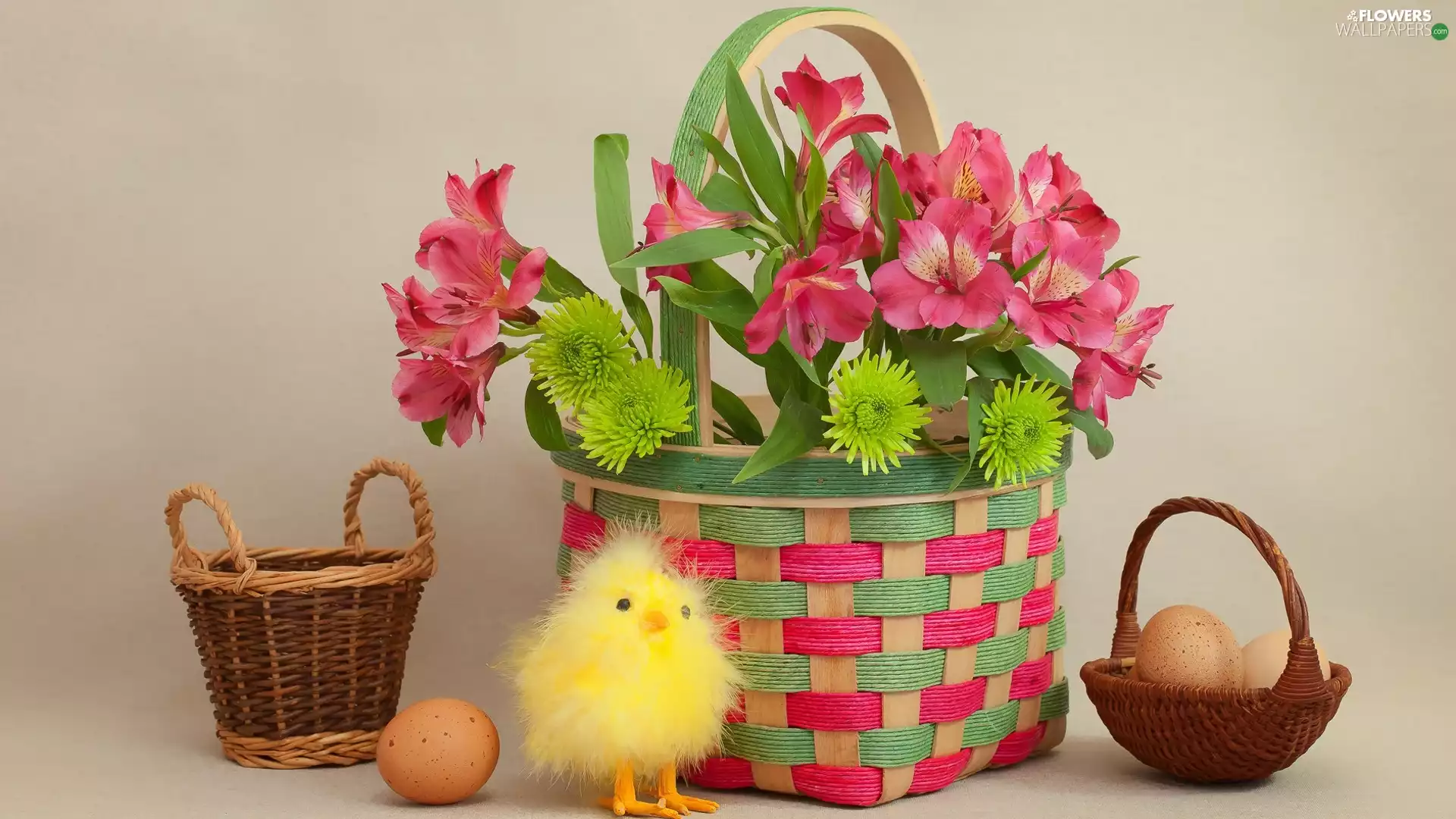 Cage, Easter, Alstroemeria, eggs, composition, Flowers, chicken