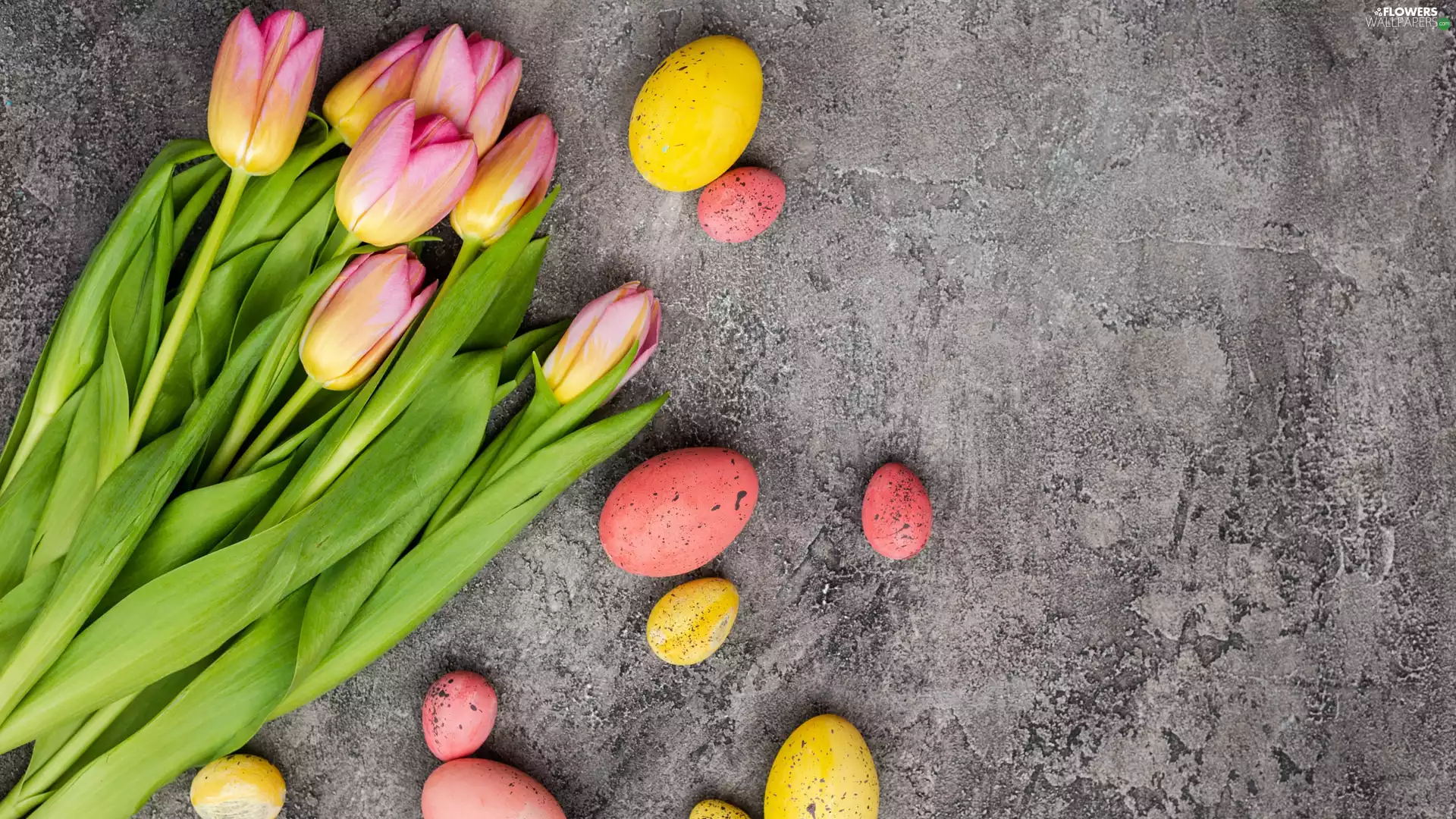 eggs, color, background, eggs, Tulips, Grey, Easter