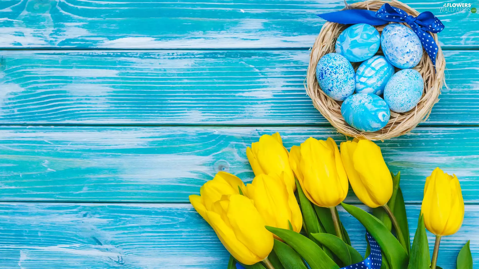 nest, Tulips, boarding, eggs, Yellow, Blue, Easter