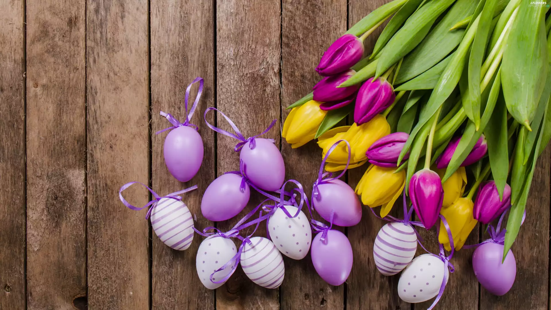 composition, Tulips, Easter, eggs