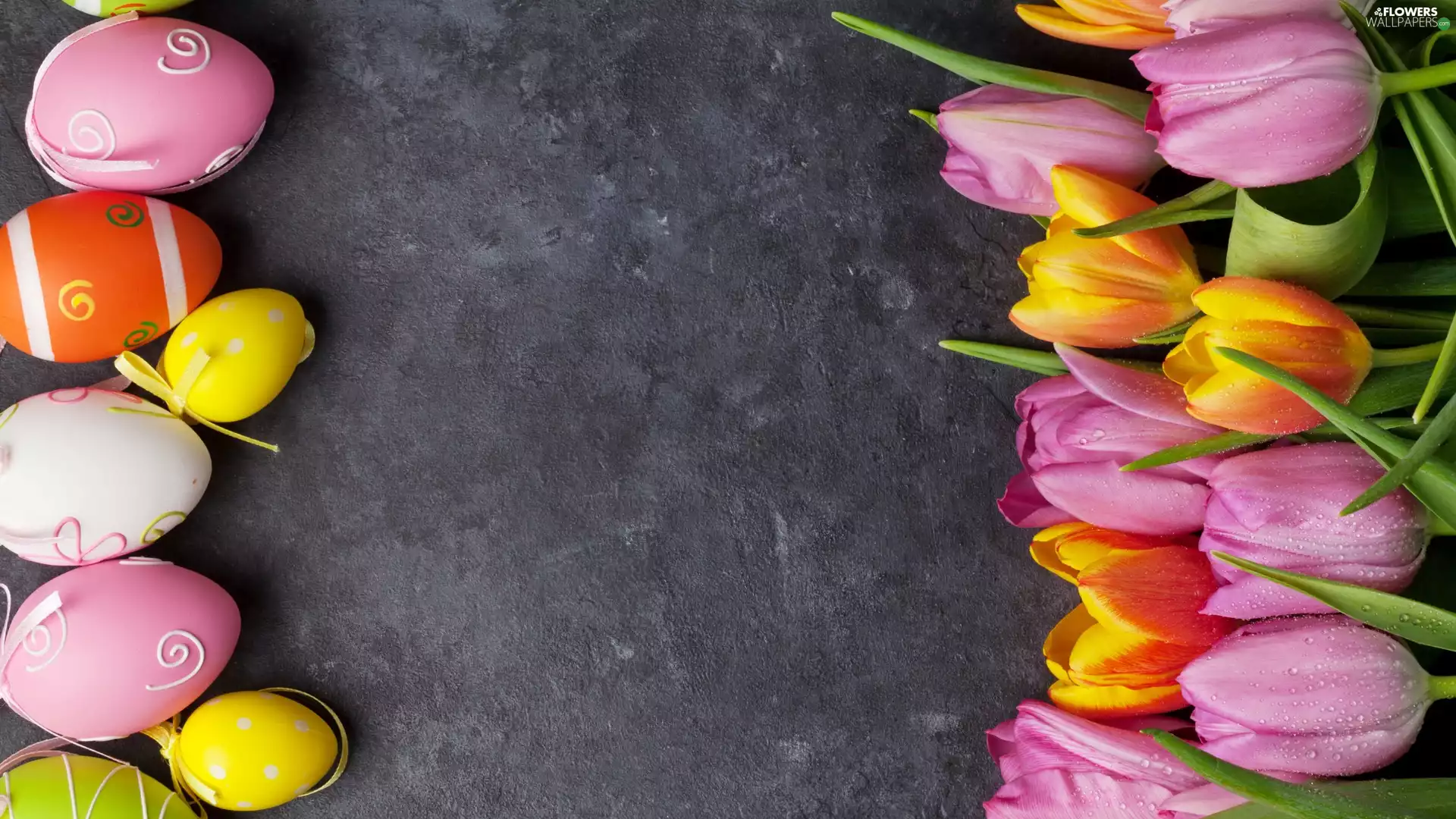 Tulips, Grey Background, eggs, color, Easter