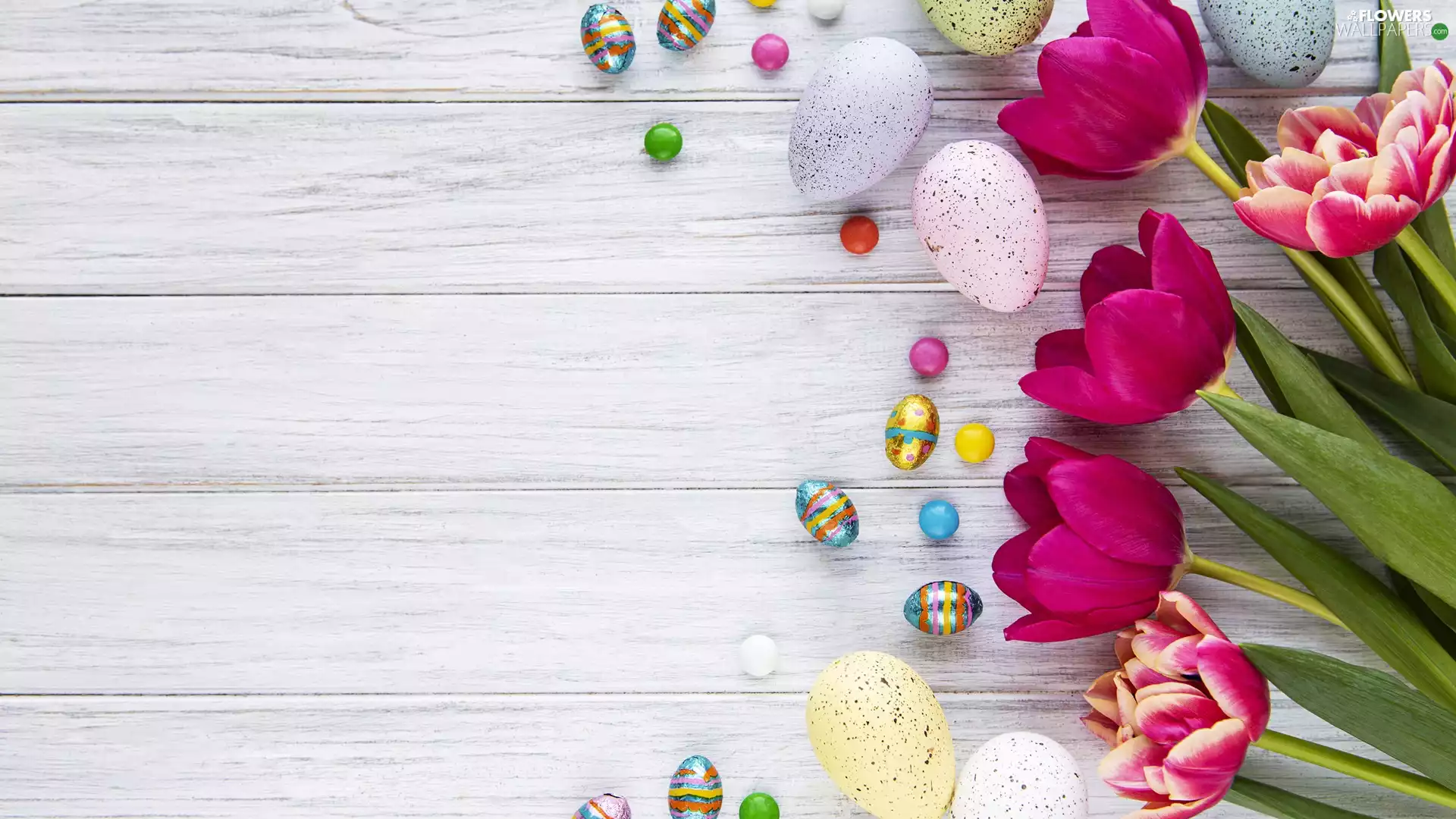 Easter, Tulips, boarding, eggs