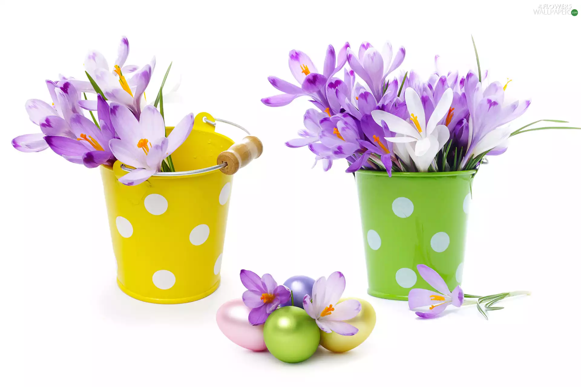 Buckets, eggs, Easter, crocuses, composition