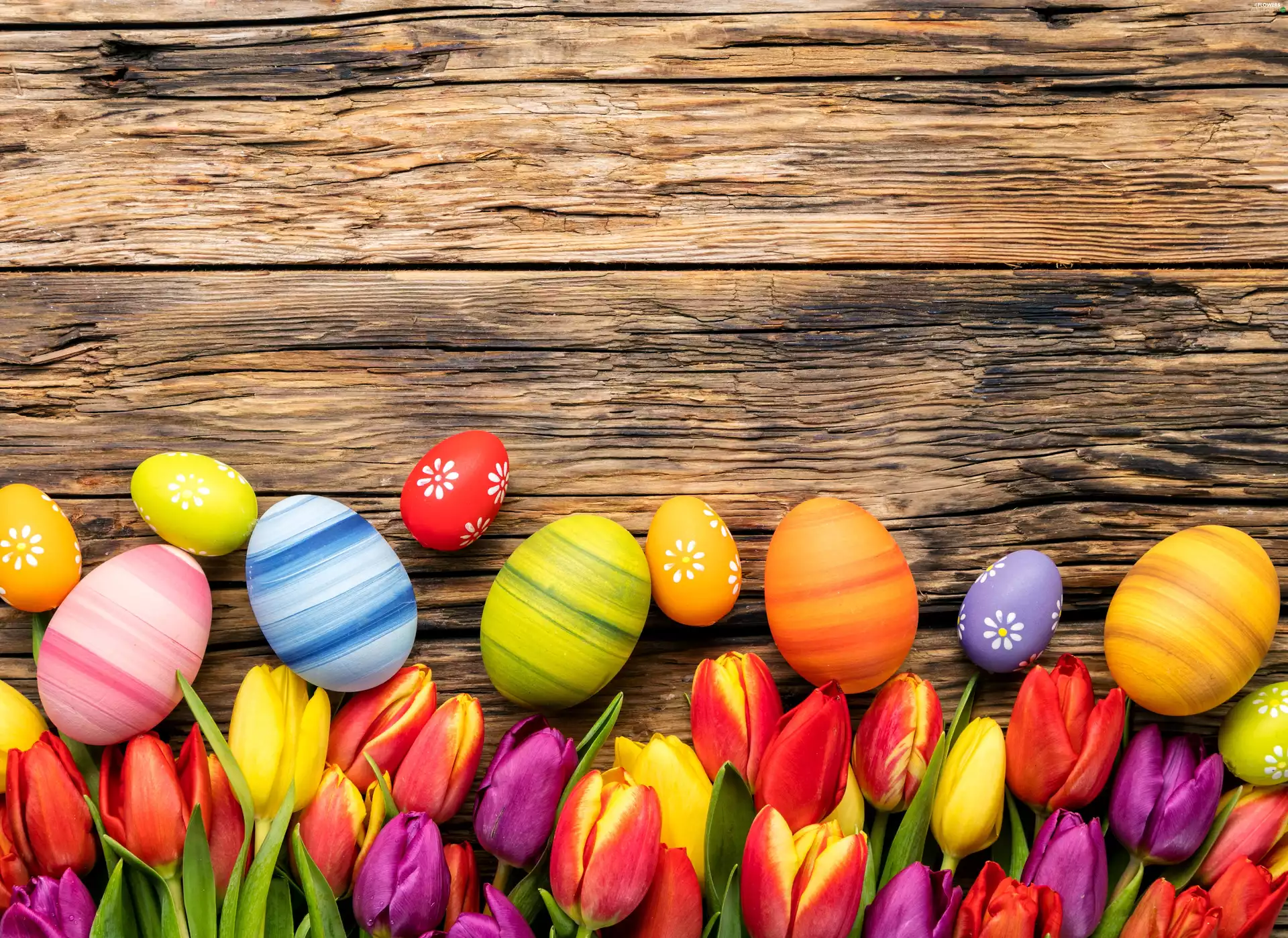 Easter, Tulips, composition, eggs