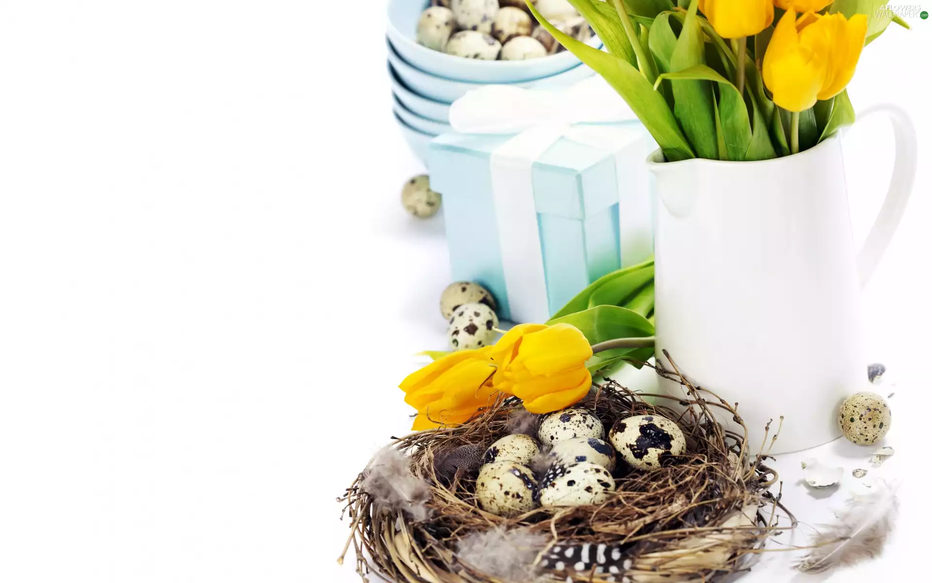 Easter, quail, eggs, Tulips