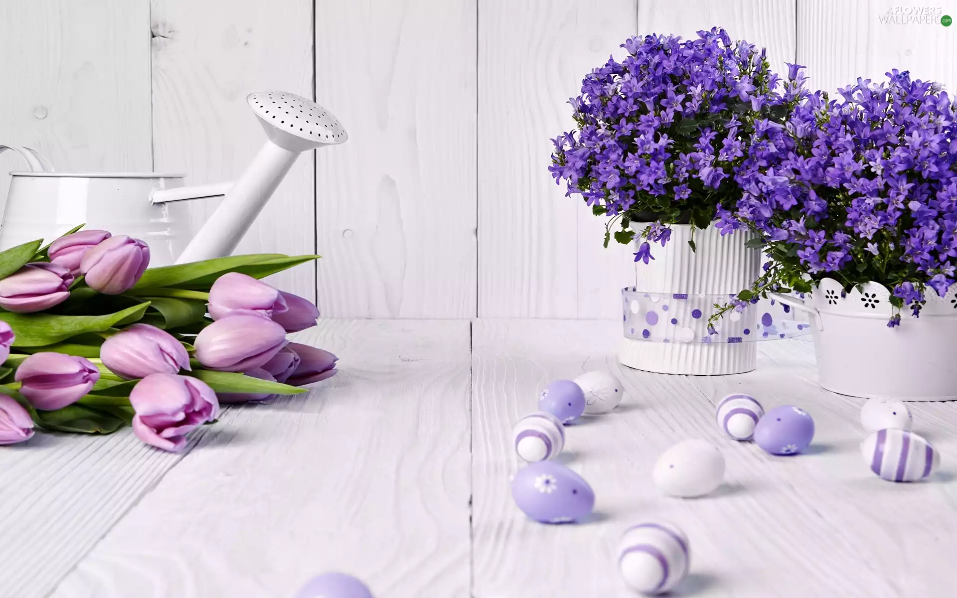Flowers, eggs