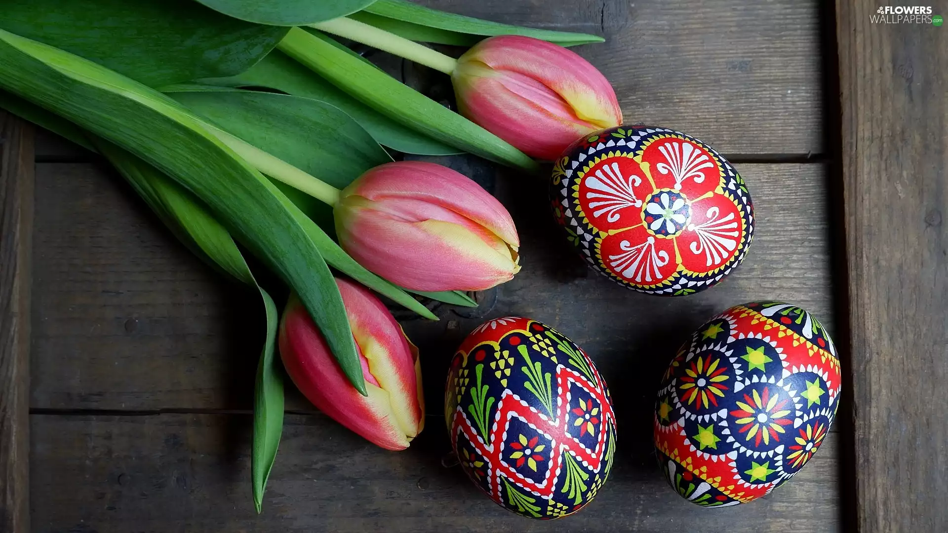 Tulips, Easter, boarding, eggs