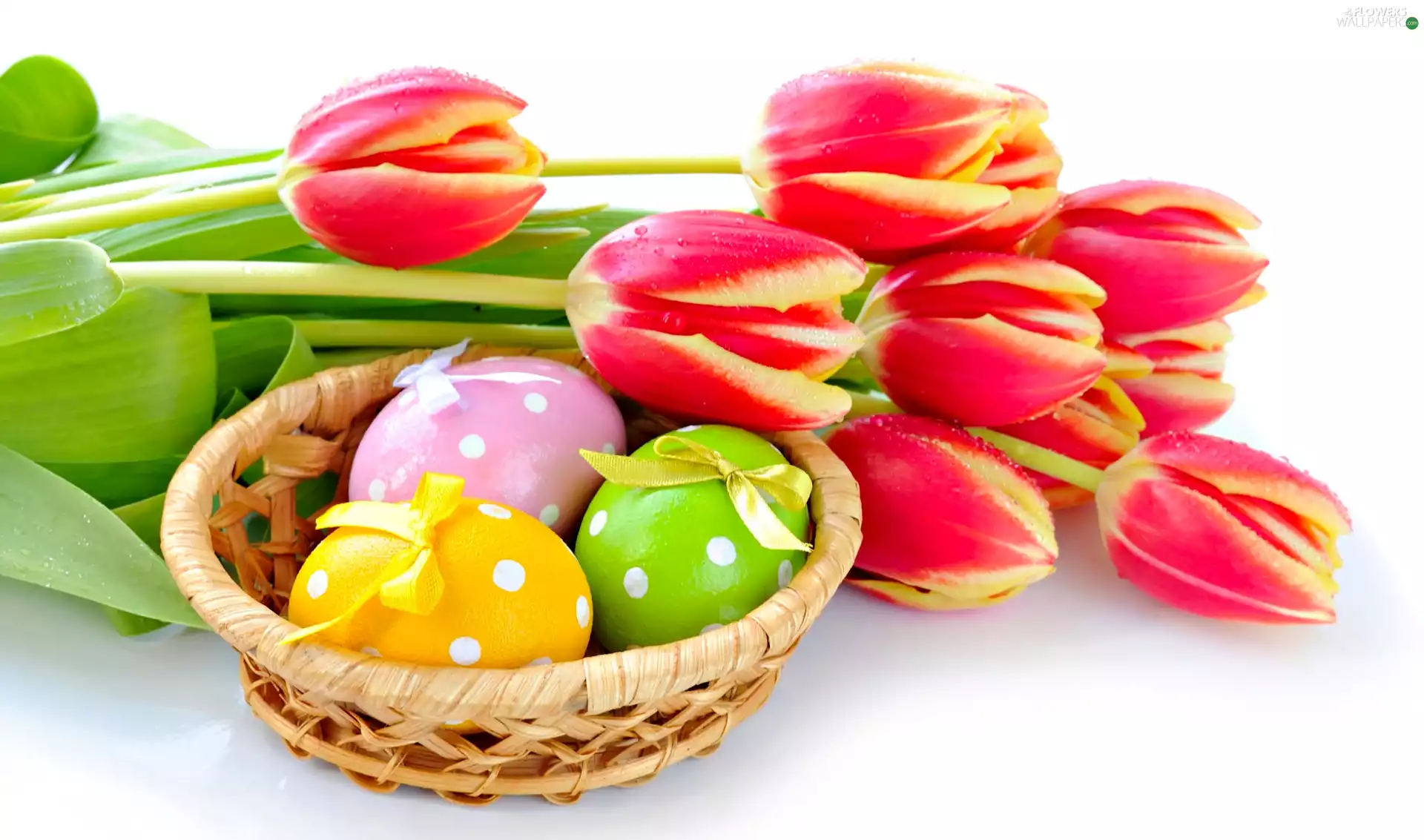 Tulips, easter, eggs, basket