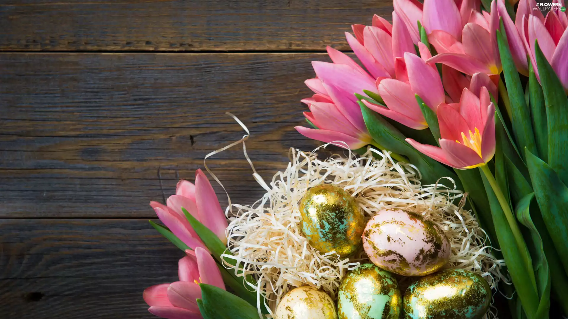 Tulips, boarding, Easter, eggs